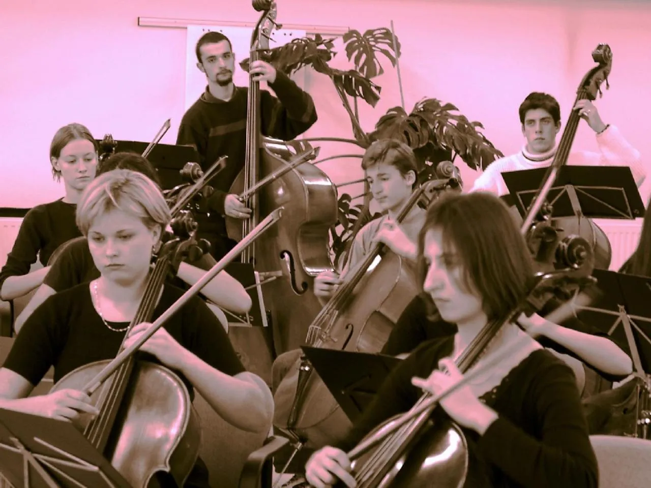 Area and facilities in LiebesNesterl Bergwirt - Boutique Hotel