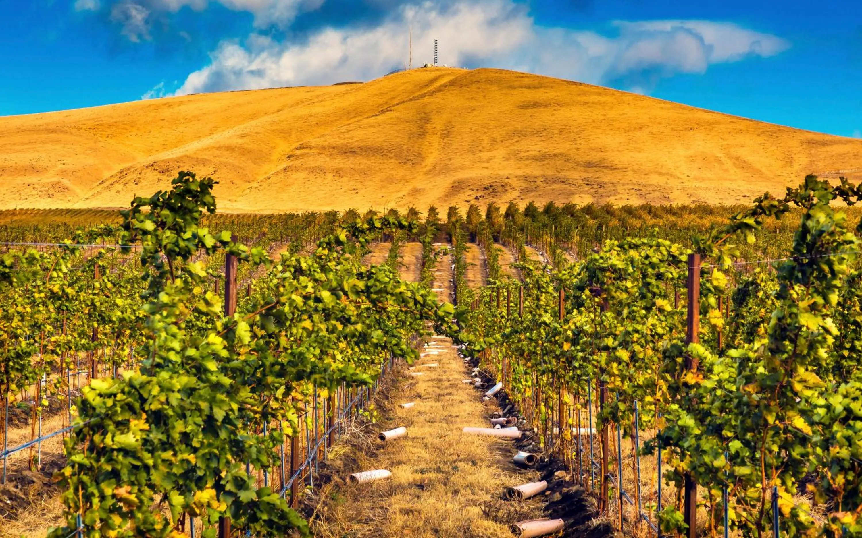 Mountain view in Hotel Hardware