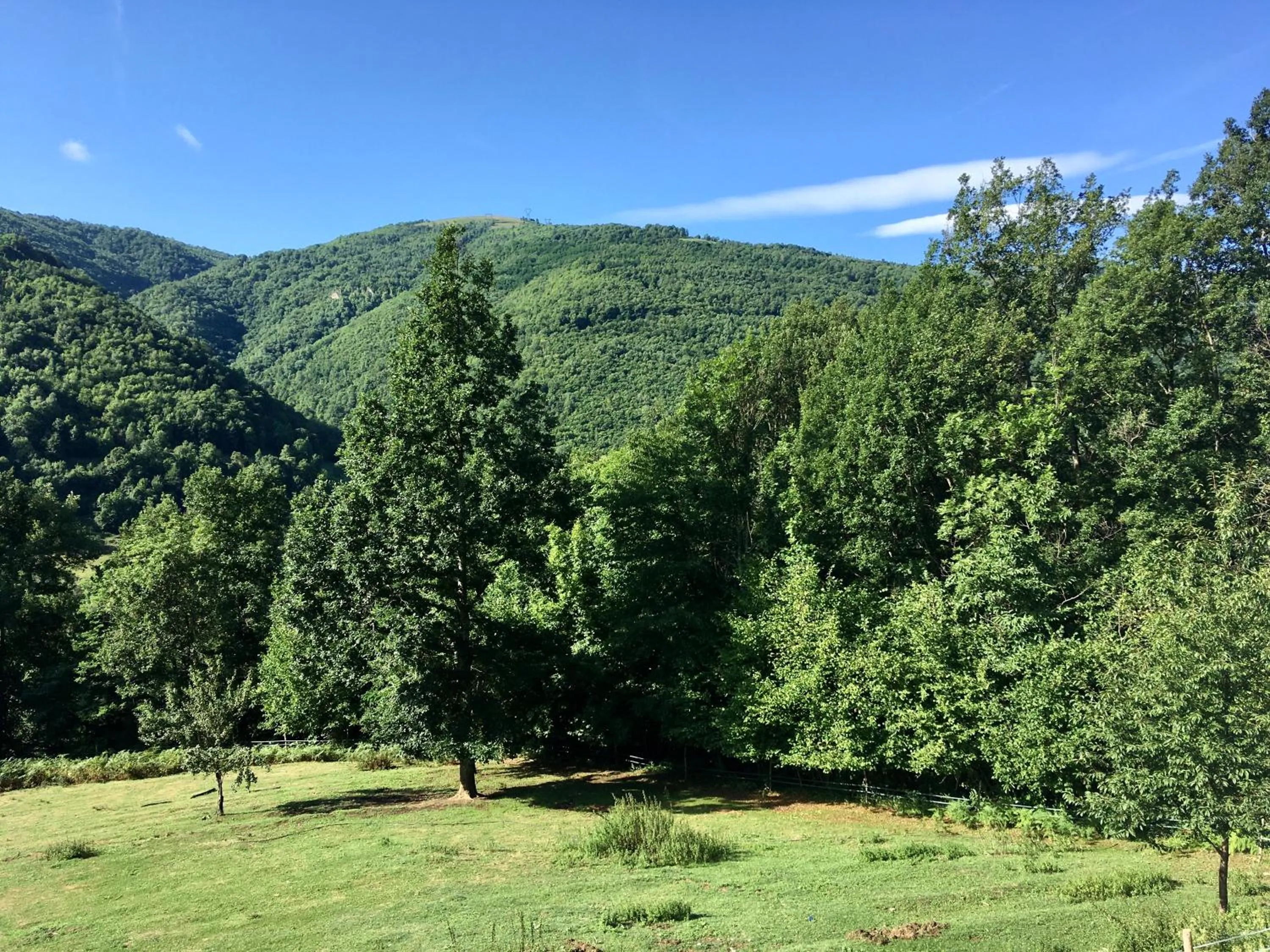 Chambres d'hôtes Mas La Tardosse