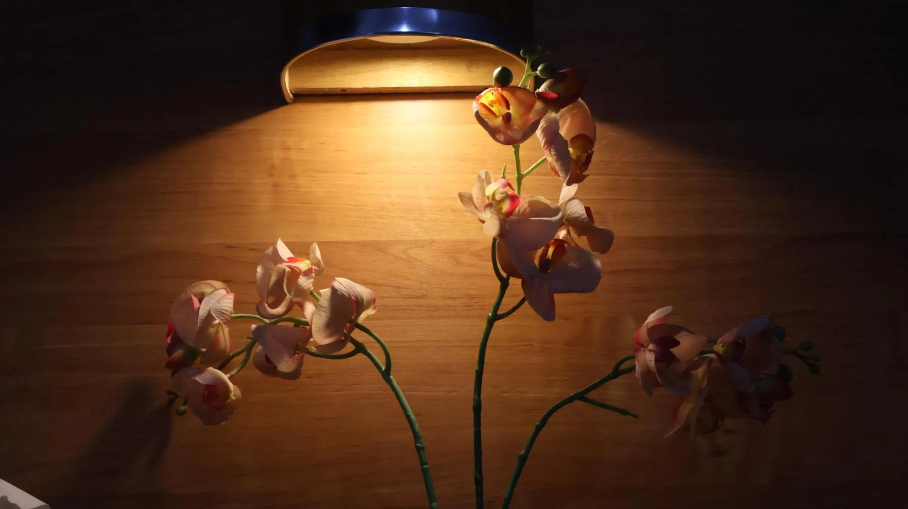 Decorative detail in Nikita Hotel