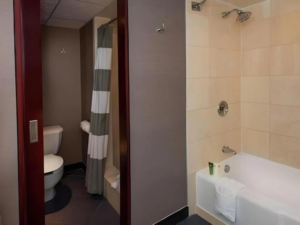 Disney's Contemporary Resort