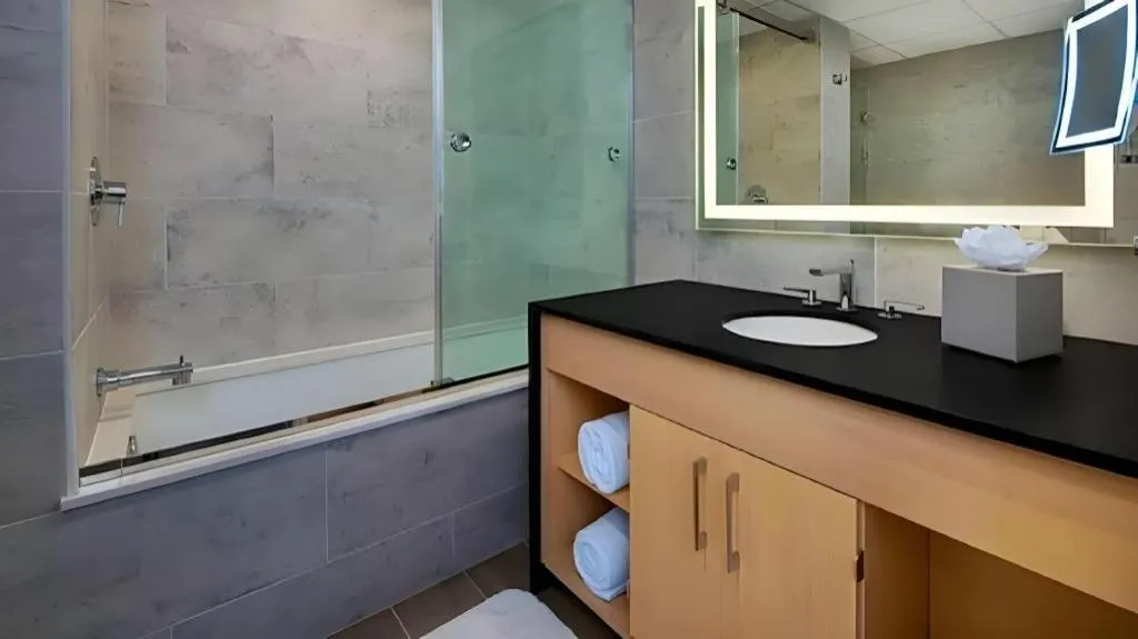 Disney's Contemporary Resort