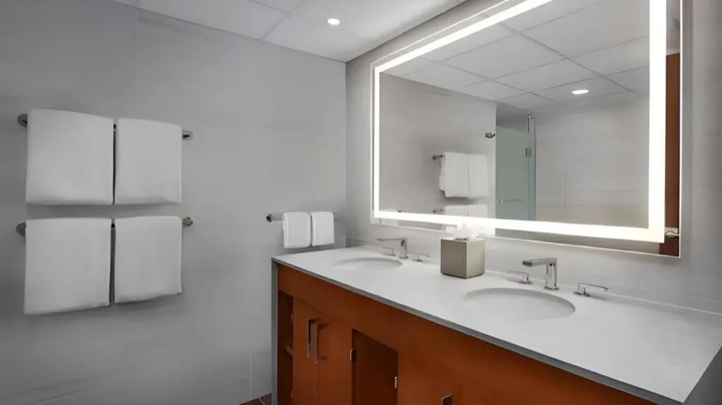 Disney's Contemporary Resort