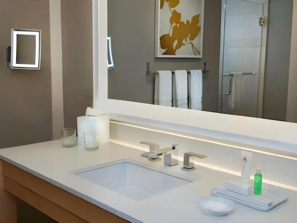 Disney's Contemporary Resort