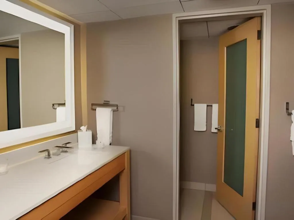 Disney's Contemporary Resort