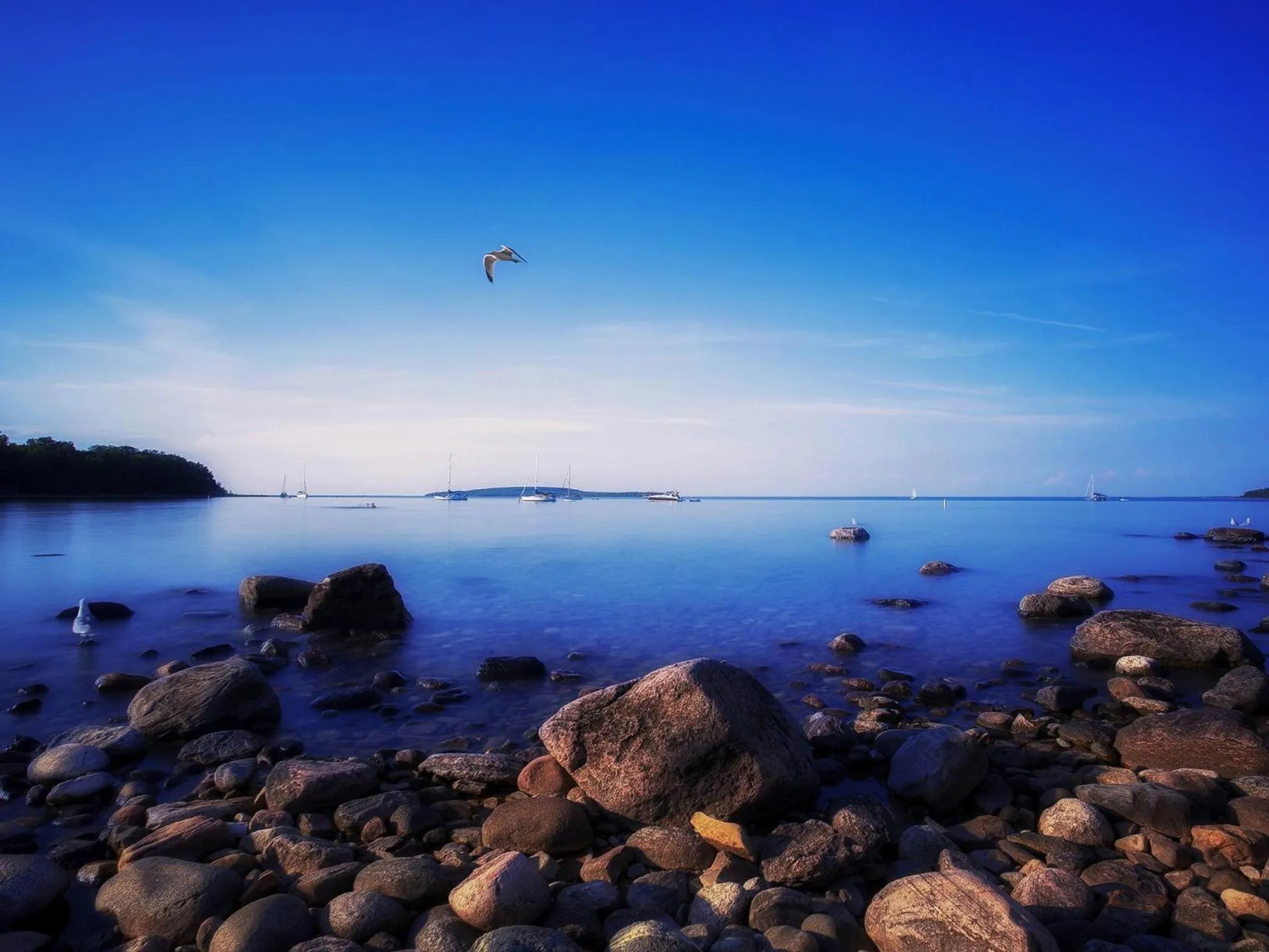 Area and facilities in Gold Dust West