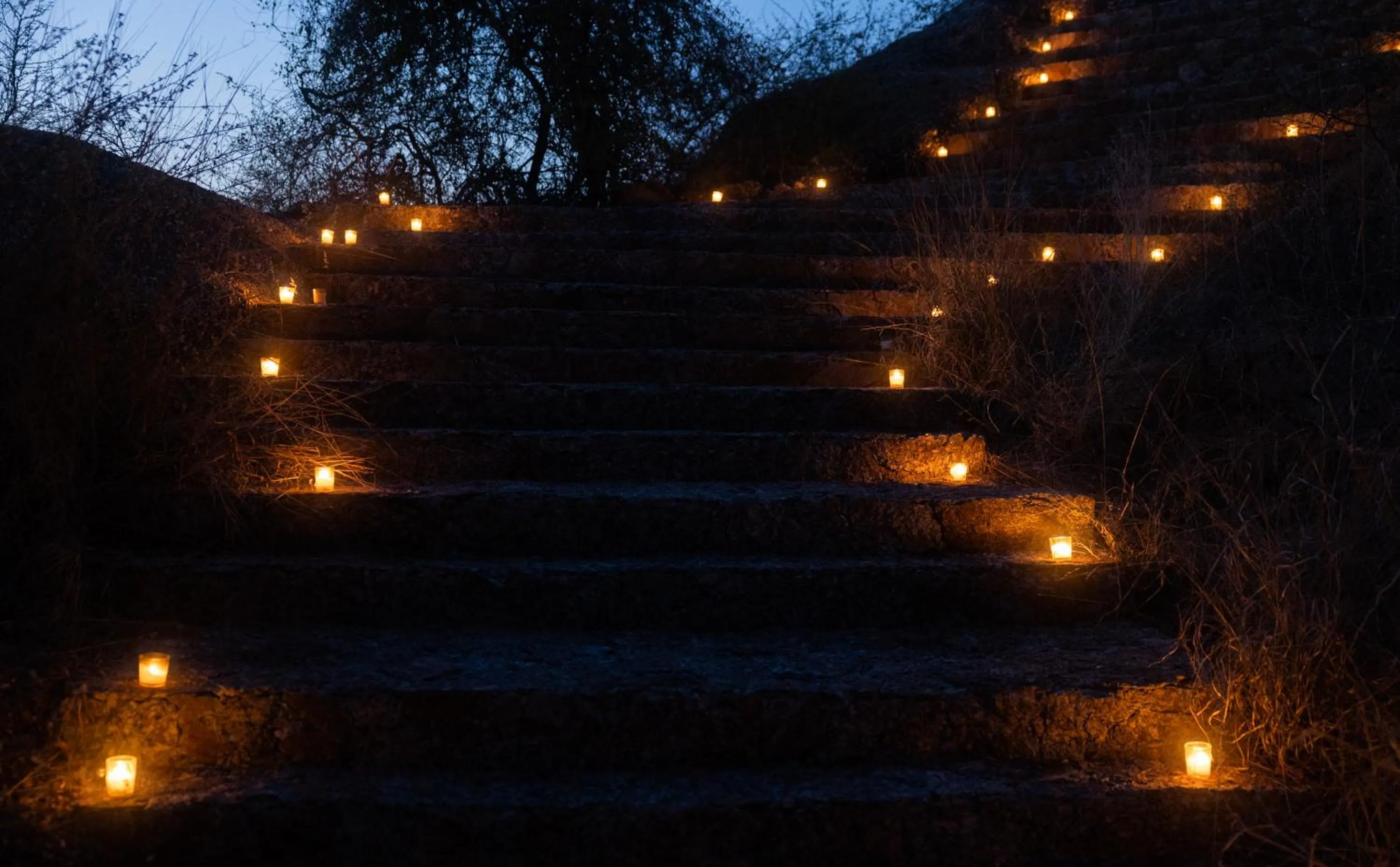 Night in The Rawla Narlai - A Luxury Heritage Stay in Leopard Country