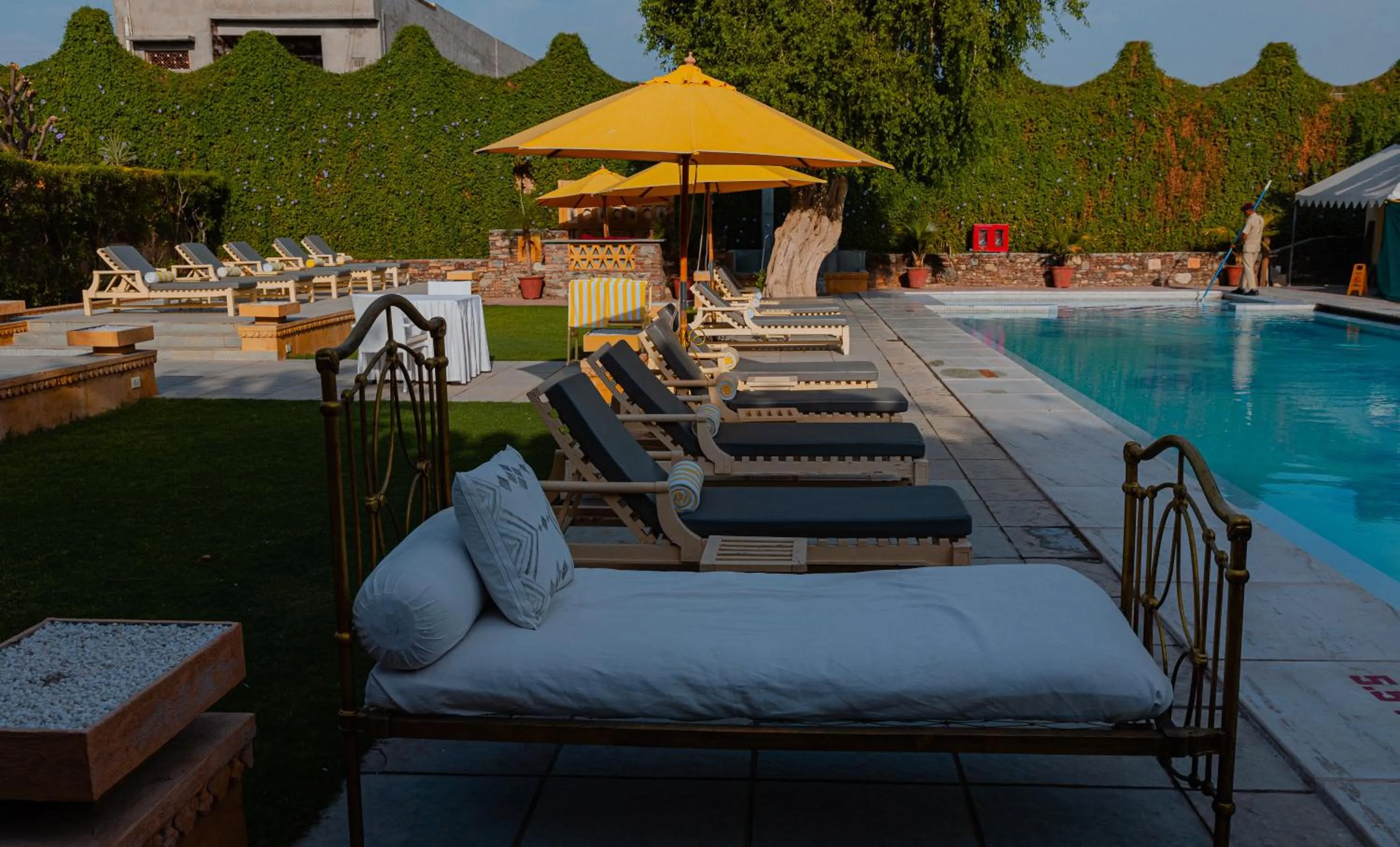 Pool view in The Rawla Narlai - A Luxury Heritage Stay in Leopard Country