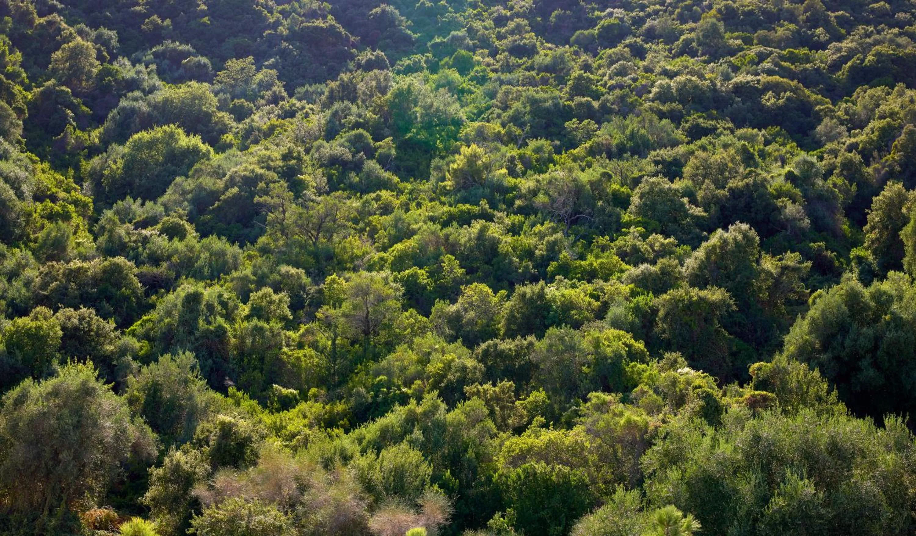 View (from property/room) in Avali, Mar-Bella Collection