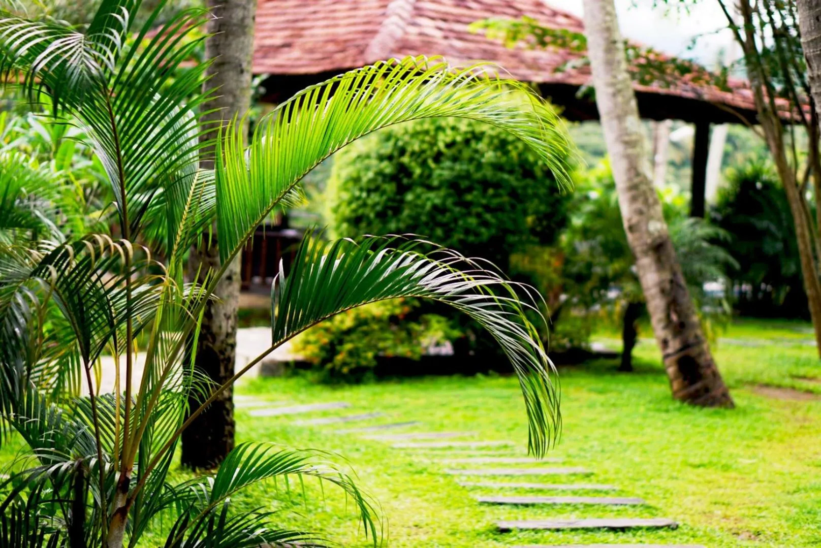 Garden view in Serendip Stone Hotel and Bungalow