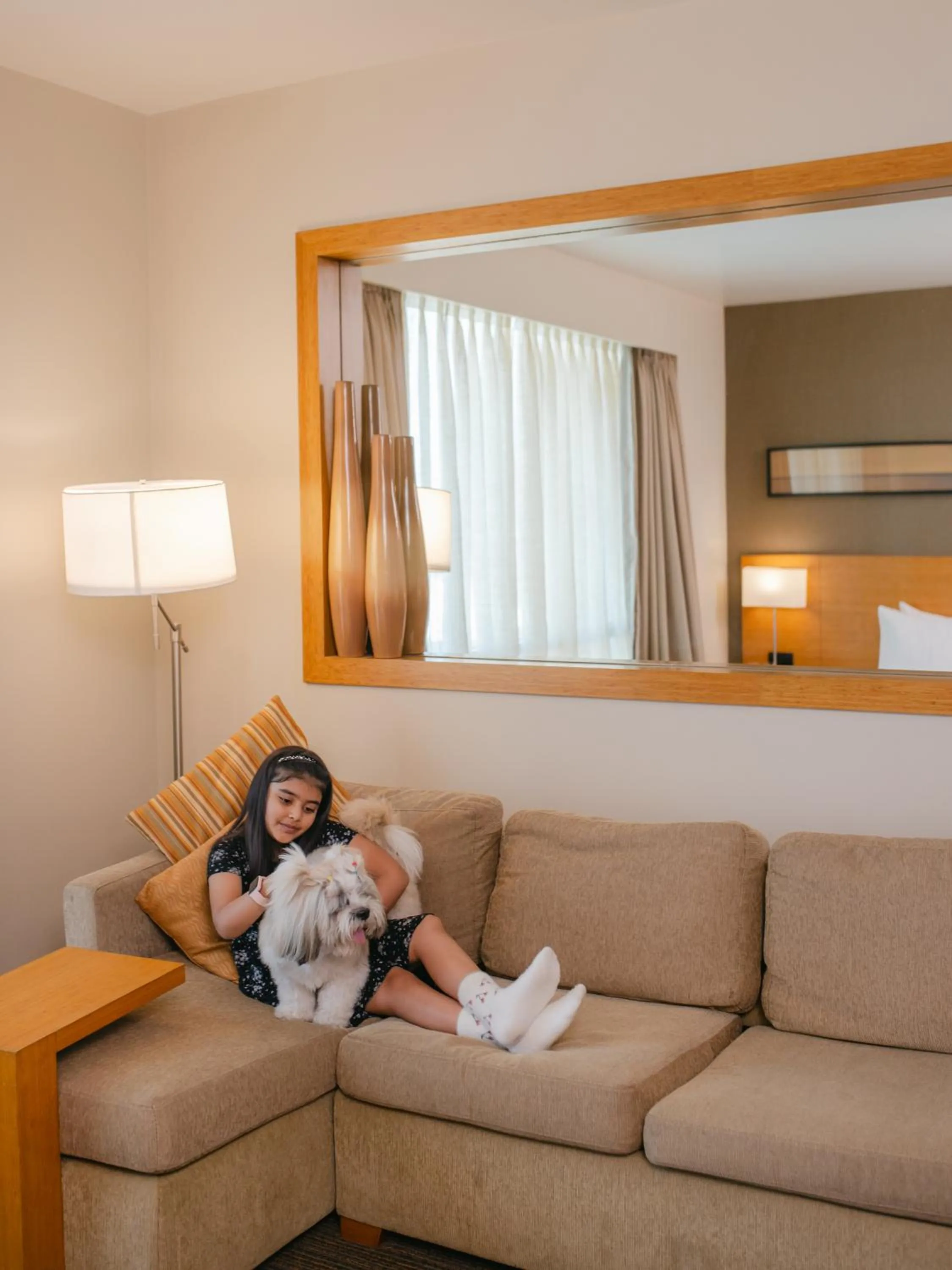 Pets in Hyatt Place Pune Hinjawadi