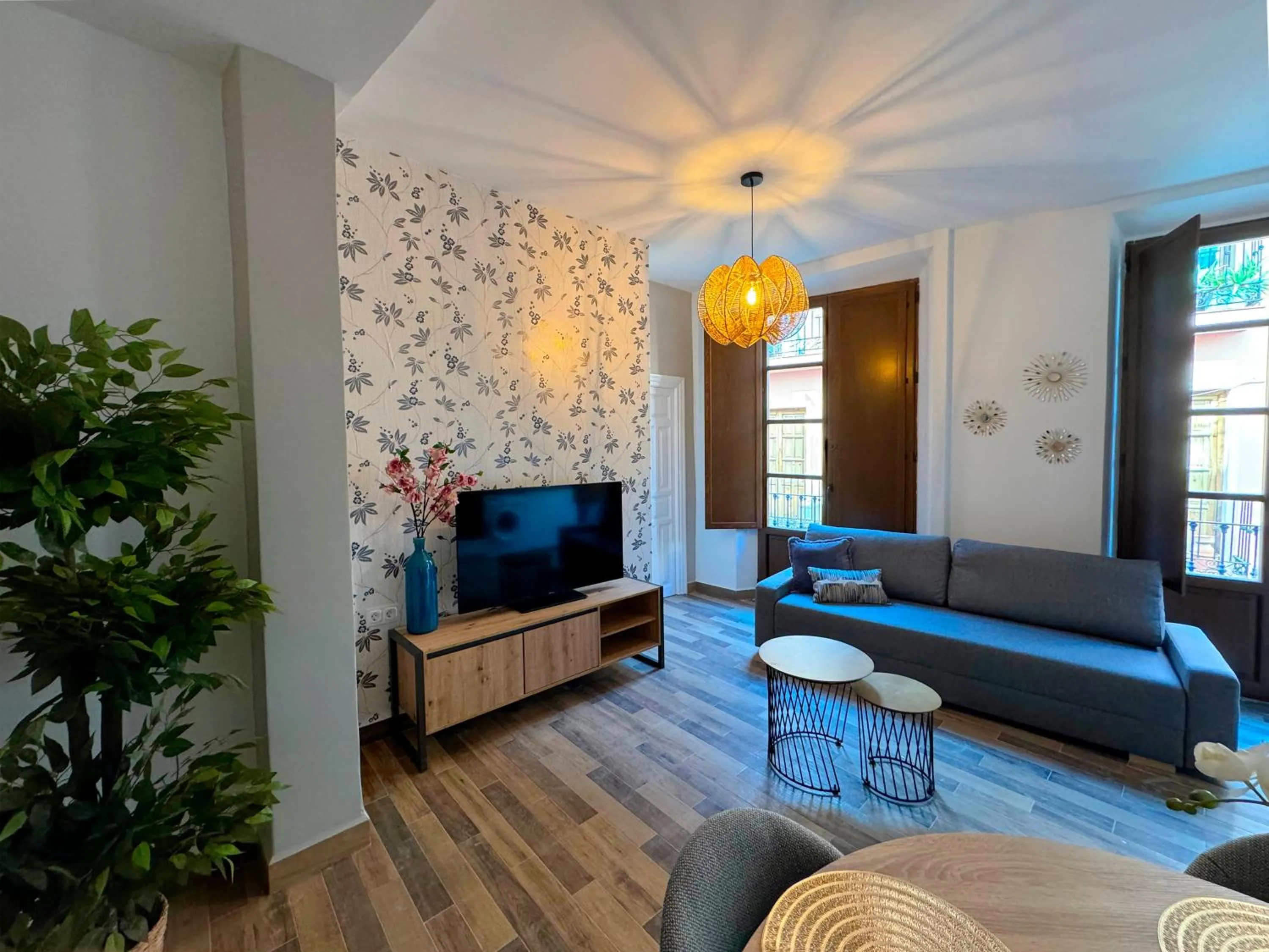 TV and multimedia in Apartamentos Plaza San Agustín 3000