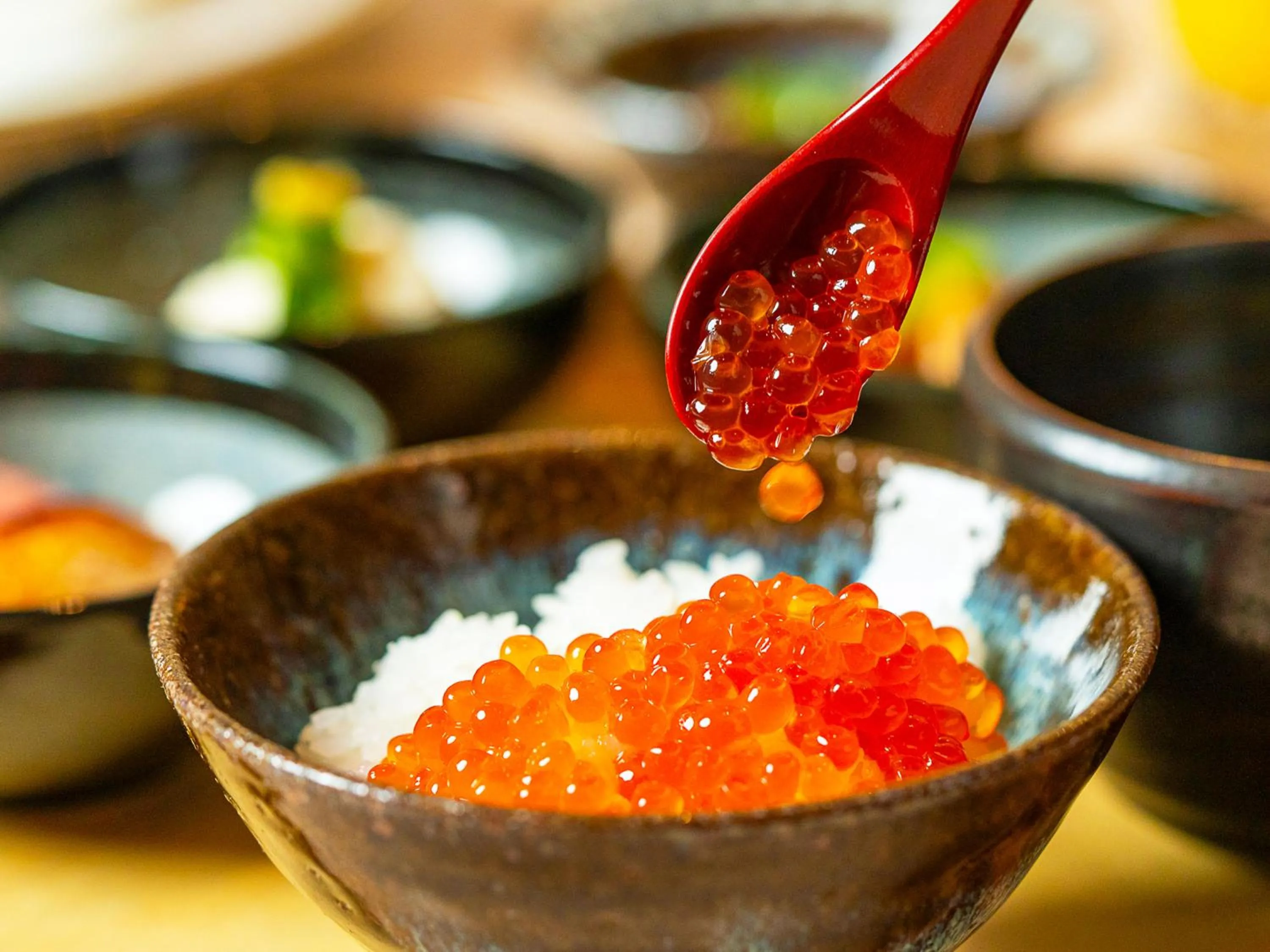 Breakfast in Kumamoto Hotel Castle