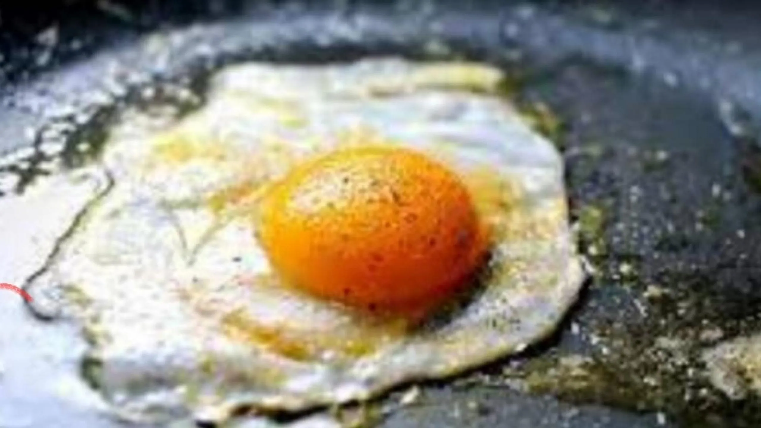 Restaurant/places to eat in En Plo Boutique Suites