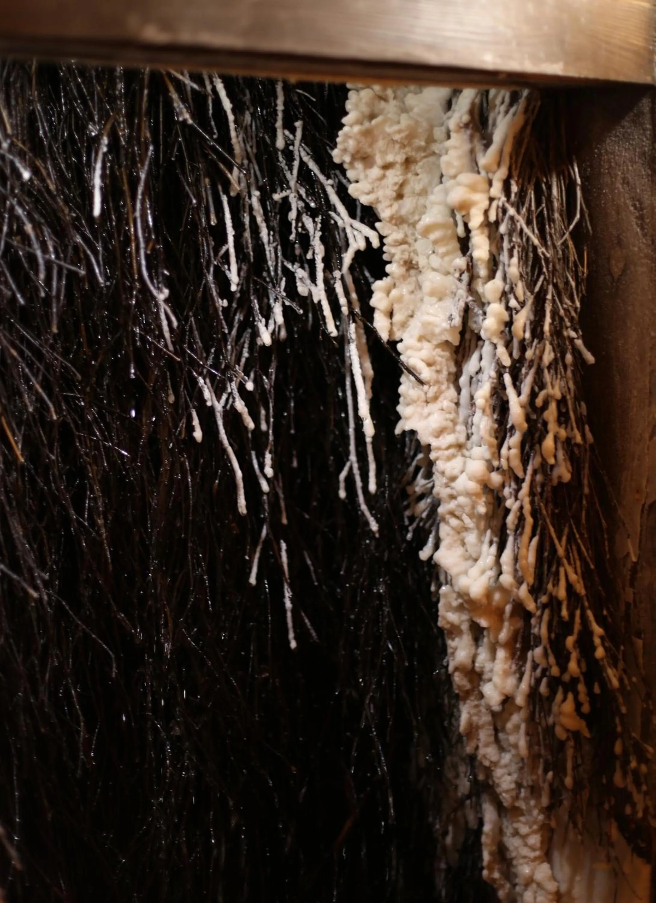 Spa and wellness centre/facilities in Hotel Zacisze