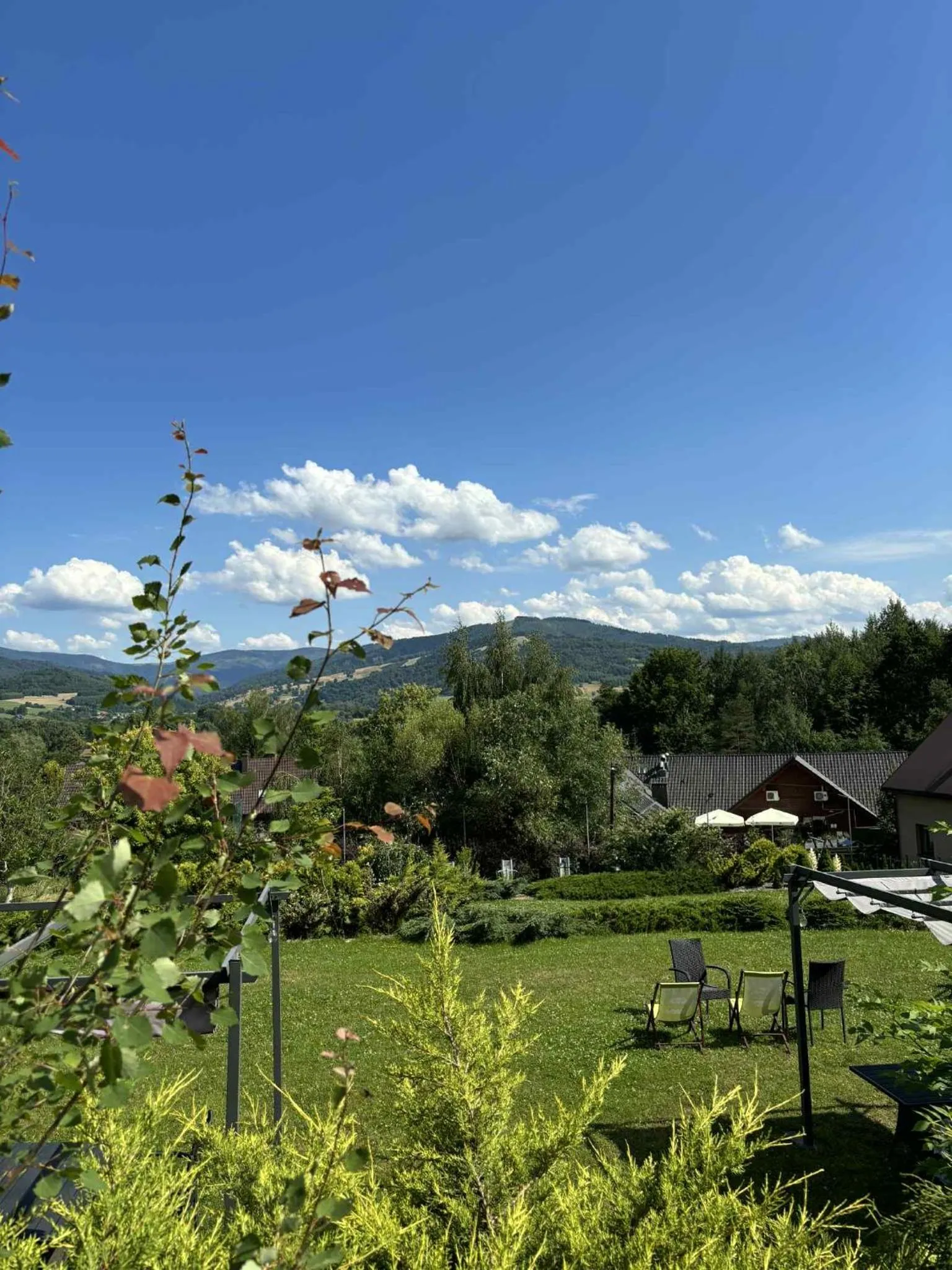 Restaurant/places to eat in Hotel Zacisze