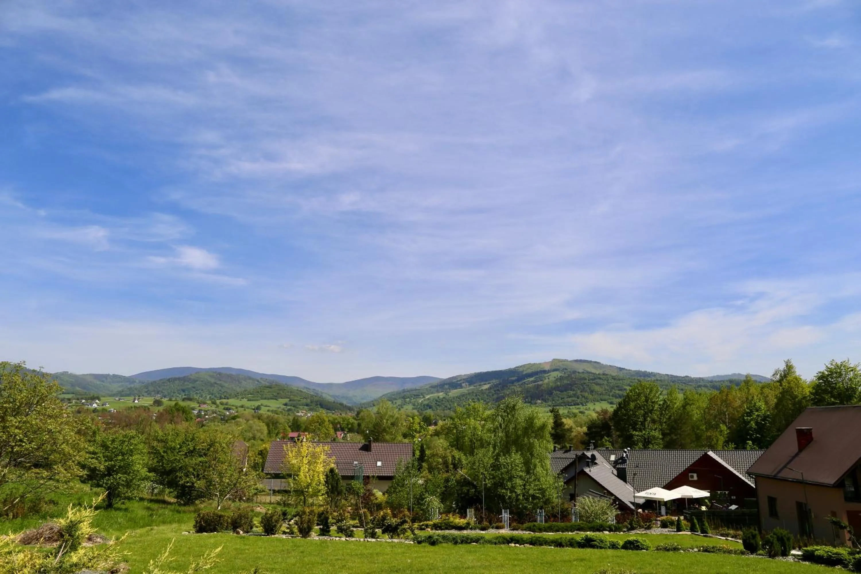 Natural landscape in Hotel Zacisze