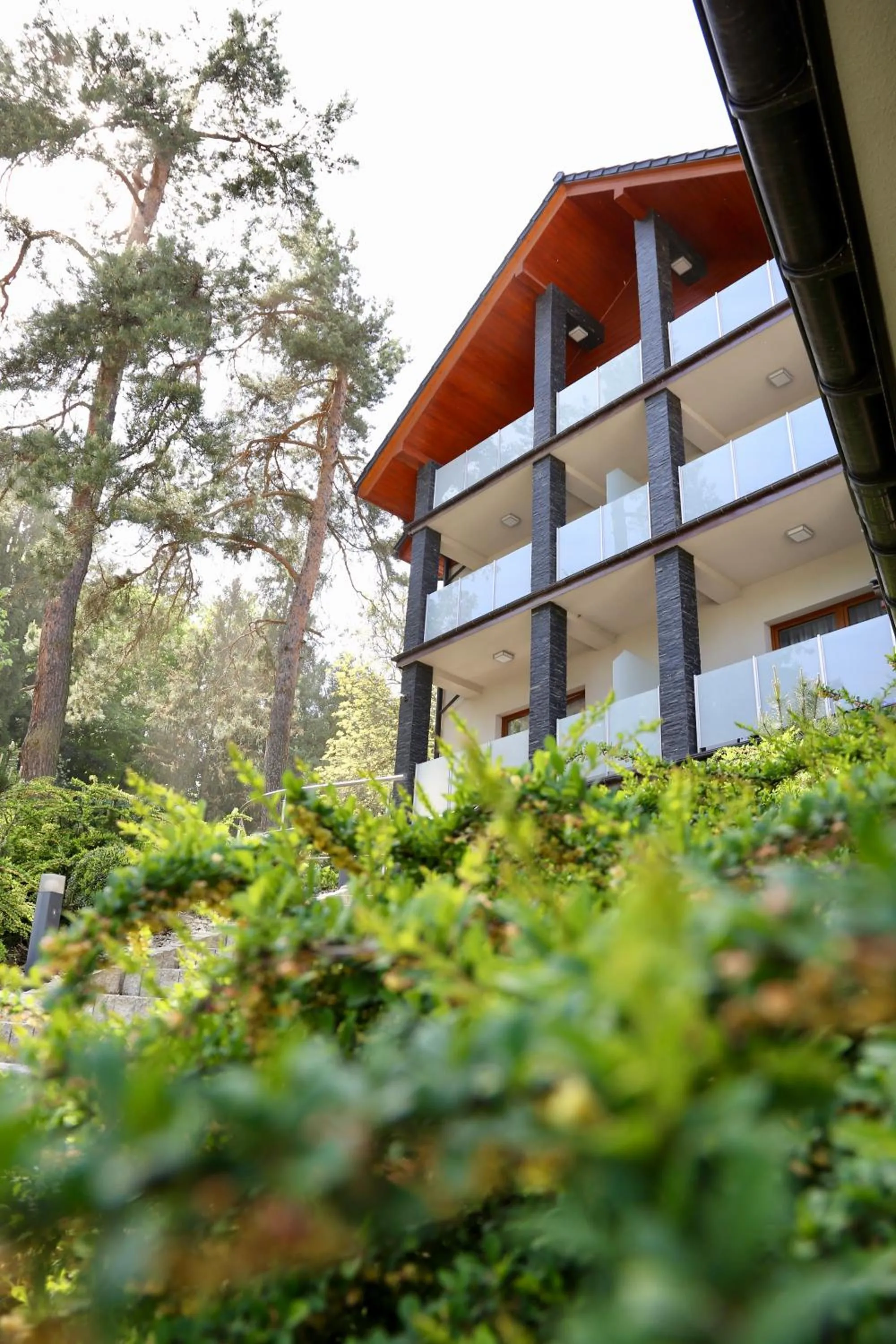 Property building in Hotel Zacisze