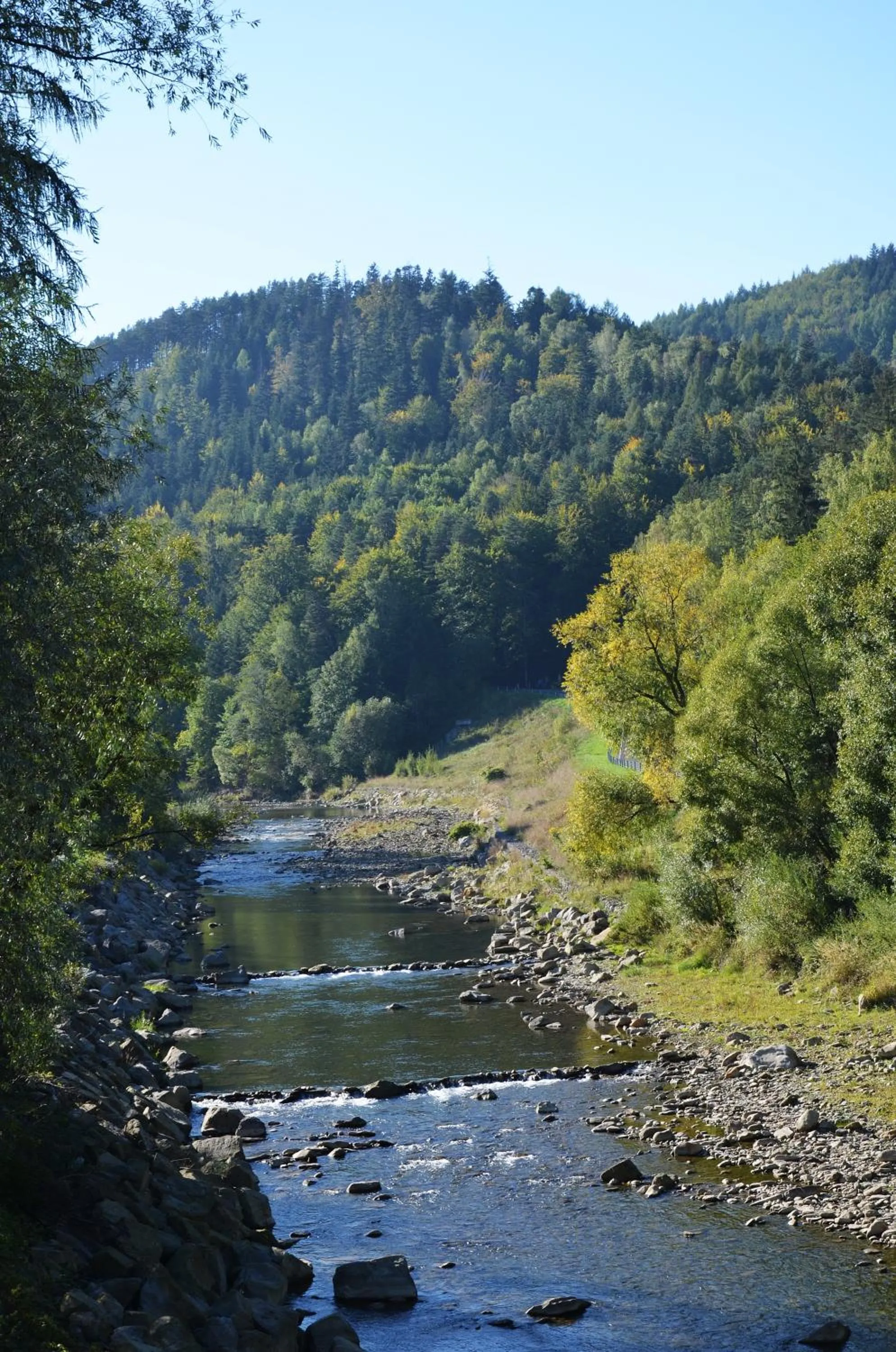 Neighbourhood in Hotel Zacisze