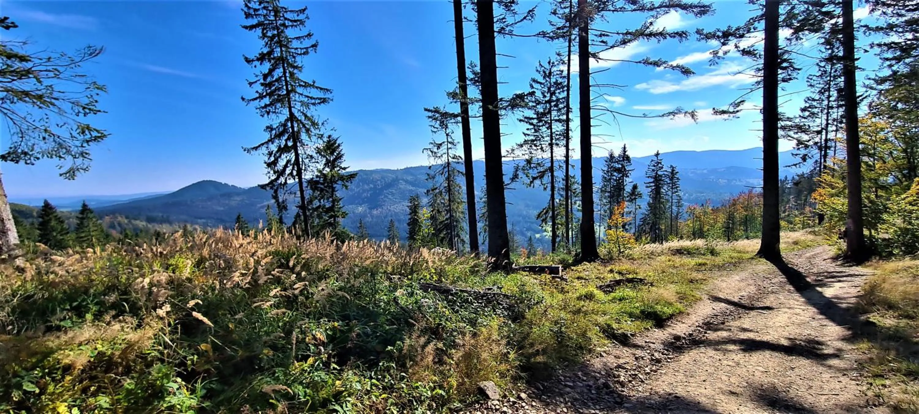 Nearby landmark in Hotel Zacisze