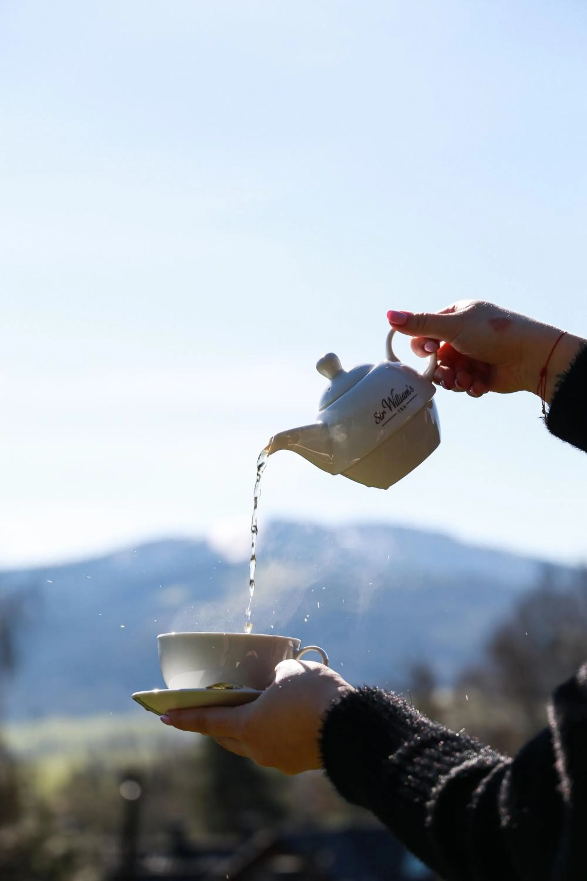 Day in Hotel Zacisze