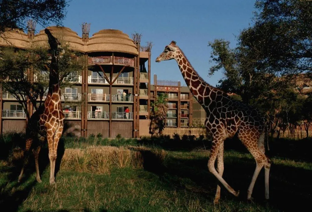 Disney's Animal Kingdom Lodge