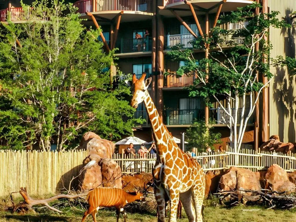 Disney's Animal Kingdom Lodge