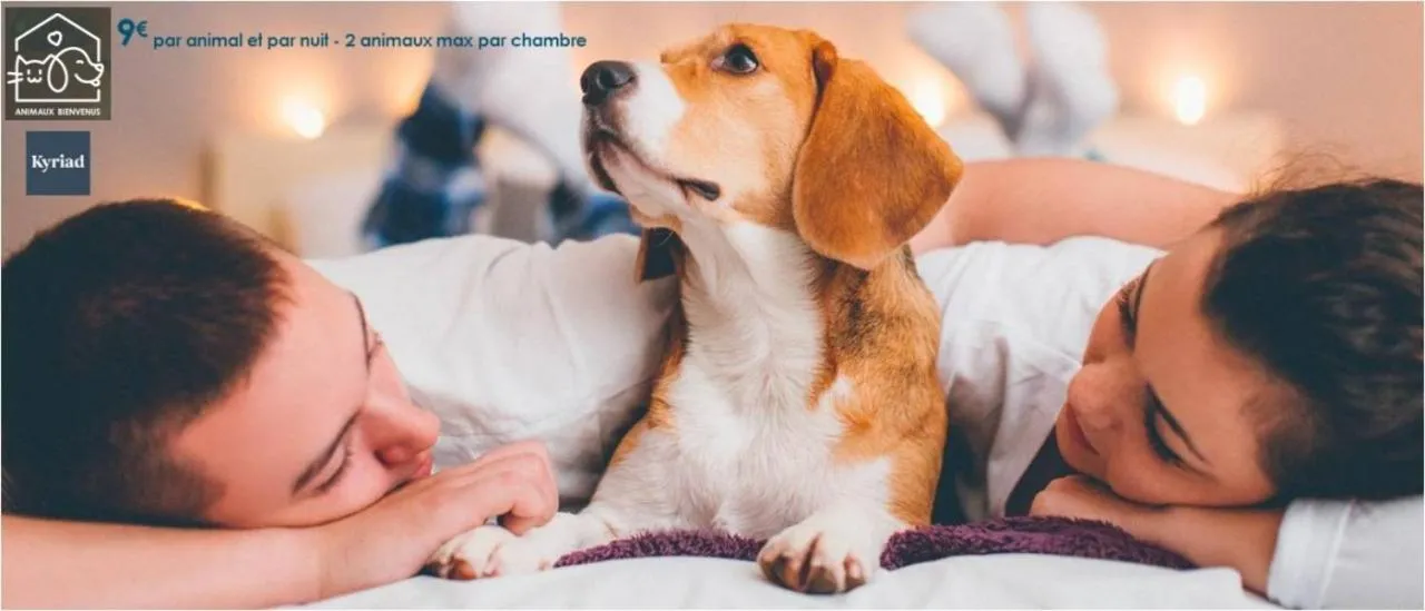 Pets in Kyriad Annecy Nord - Epagny