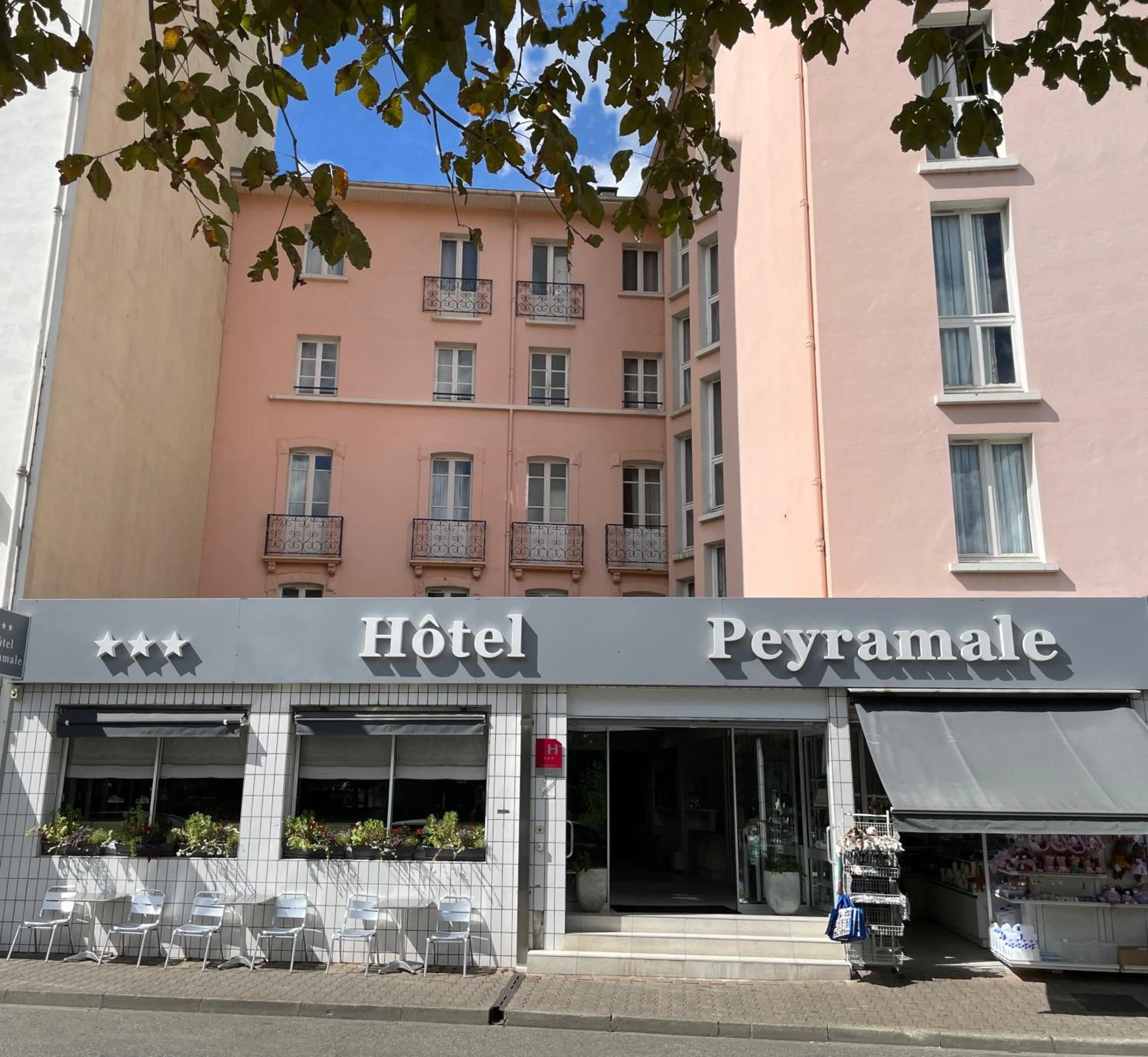 Property building in Hôtel Peyramale