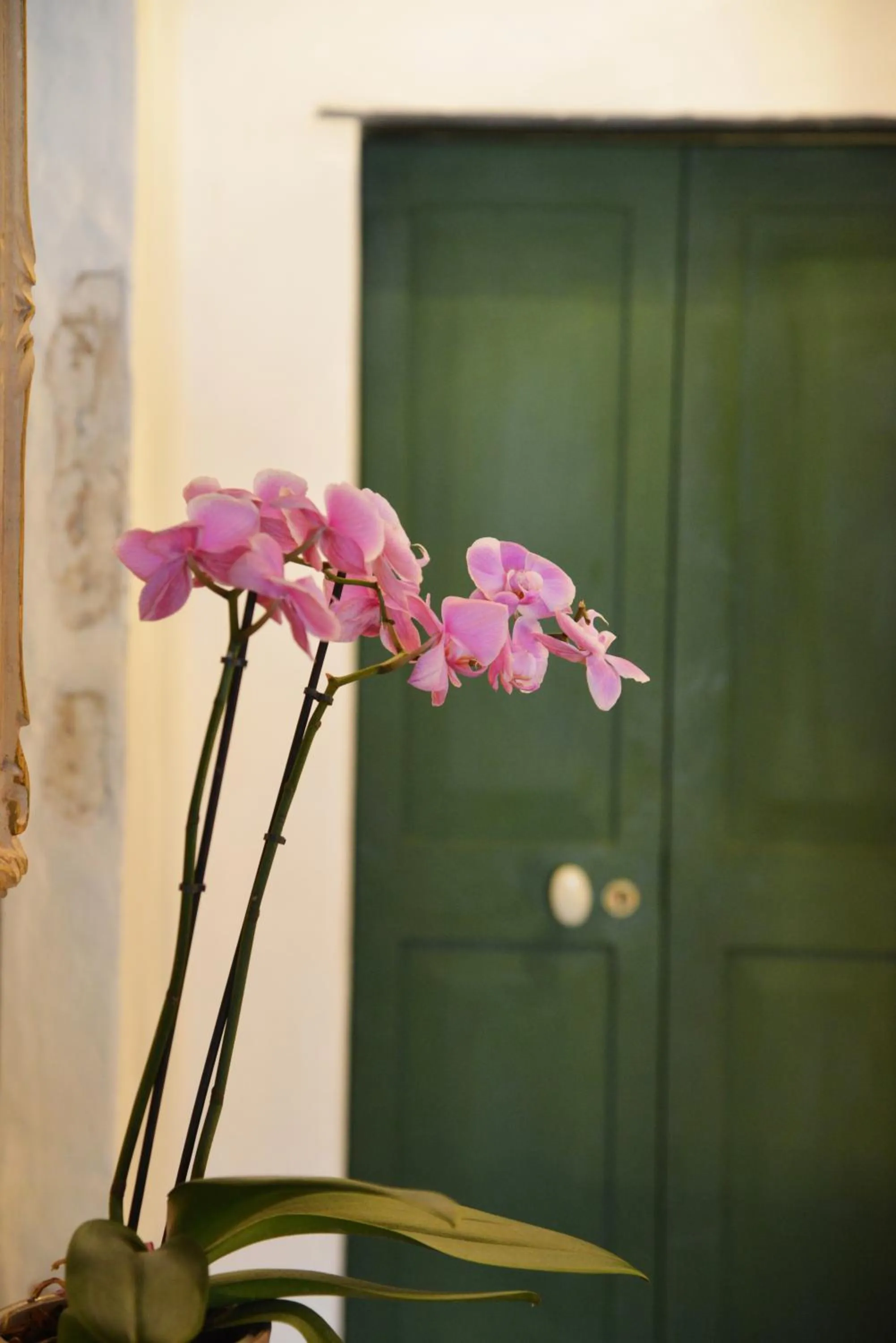 Decorative detail in La Terrazza di Vico Olivi B&B