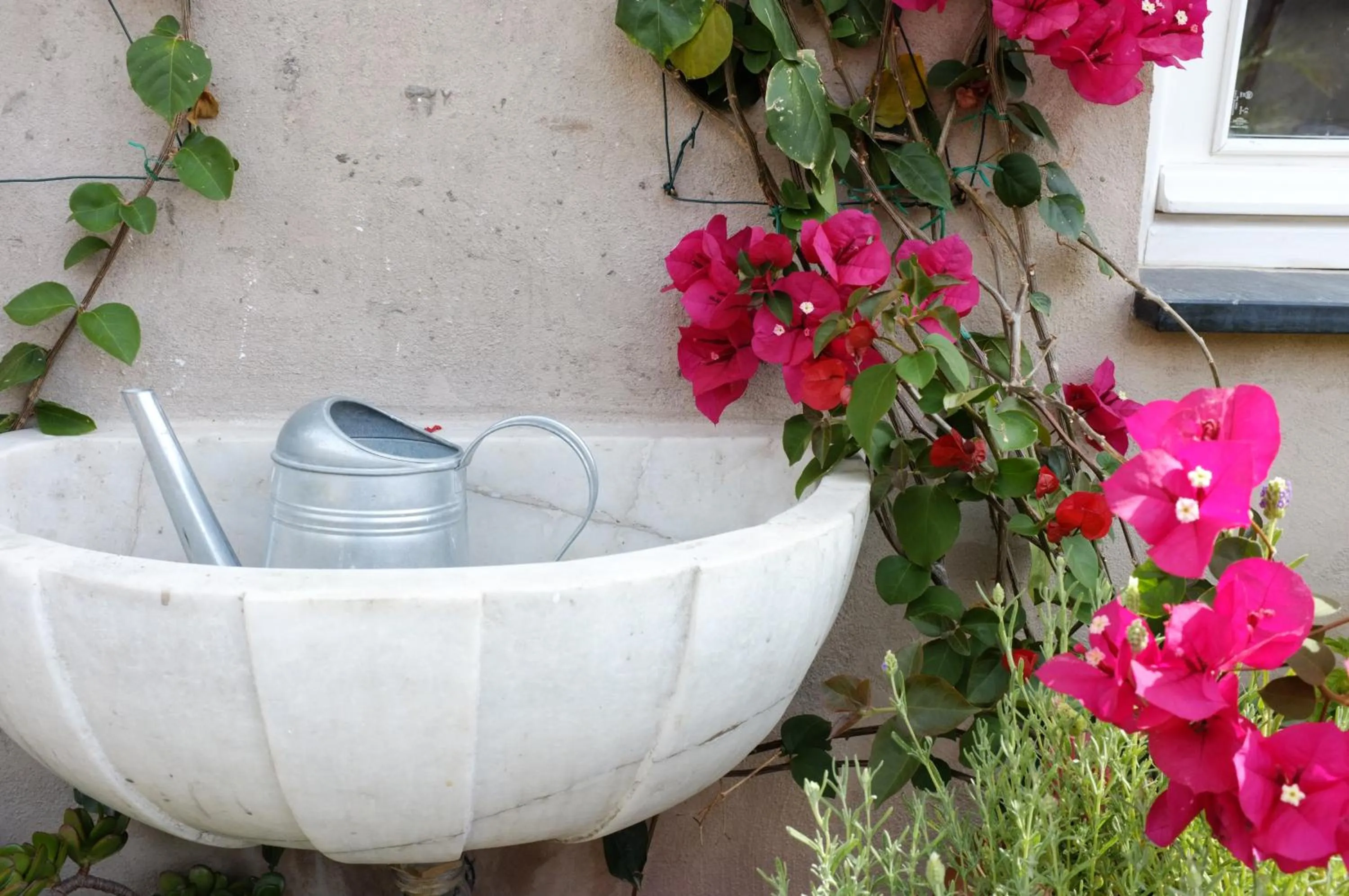 Balcony/Terrace in La Terrazza di Vico Olivi B&B
