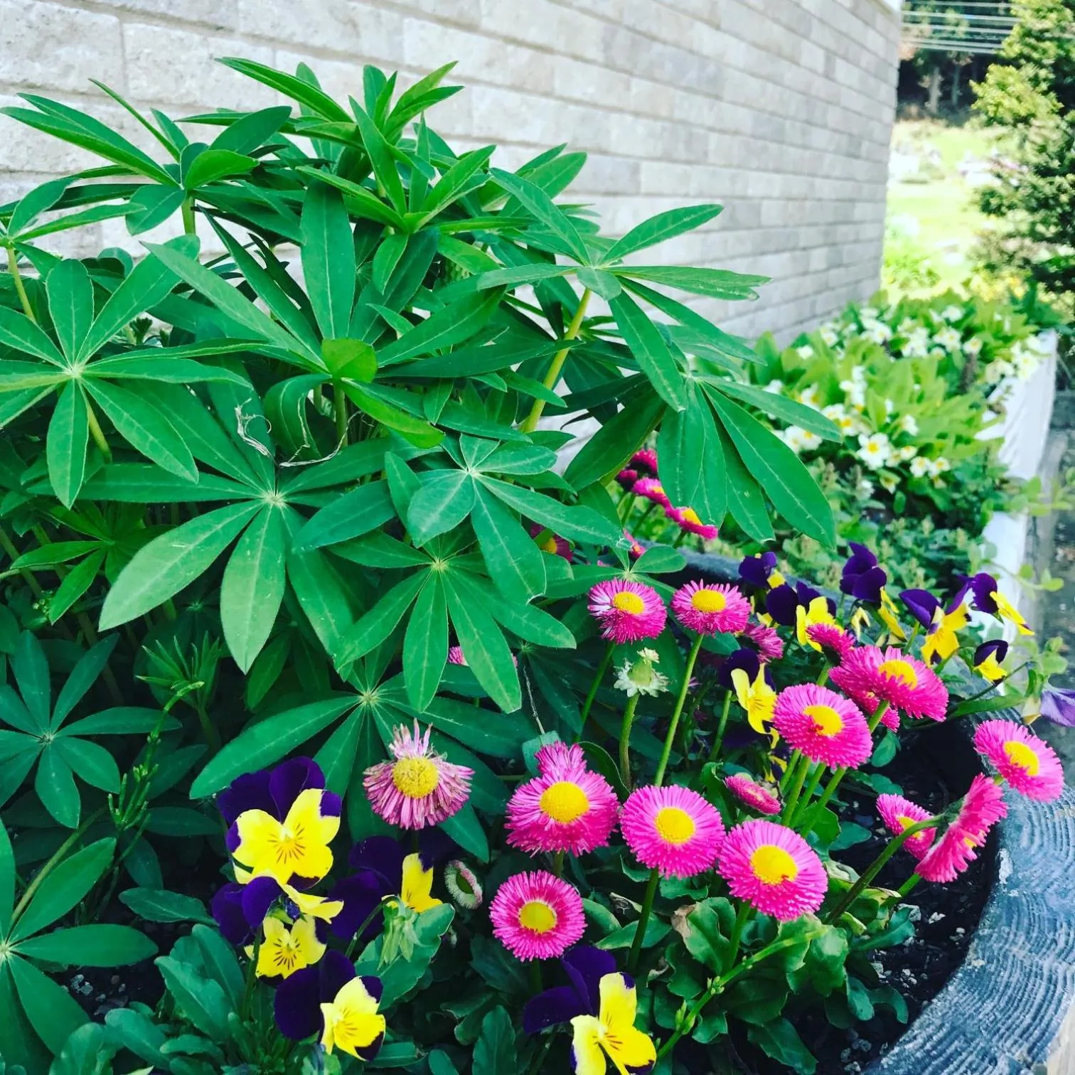 Facade/entrance in Community House Tyrolien