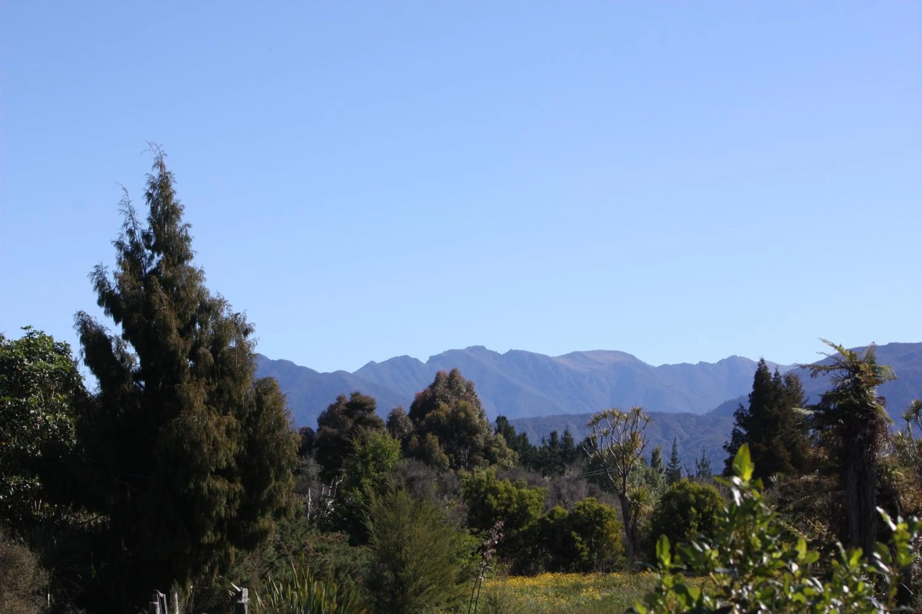 Day in Summerspring Beachfront Accommodation