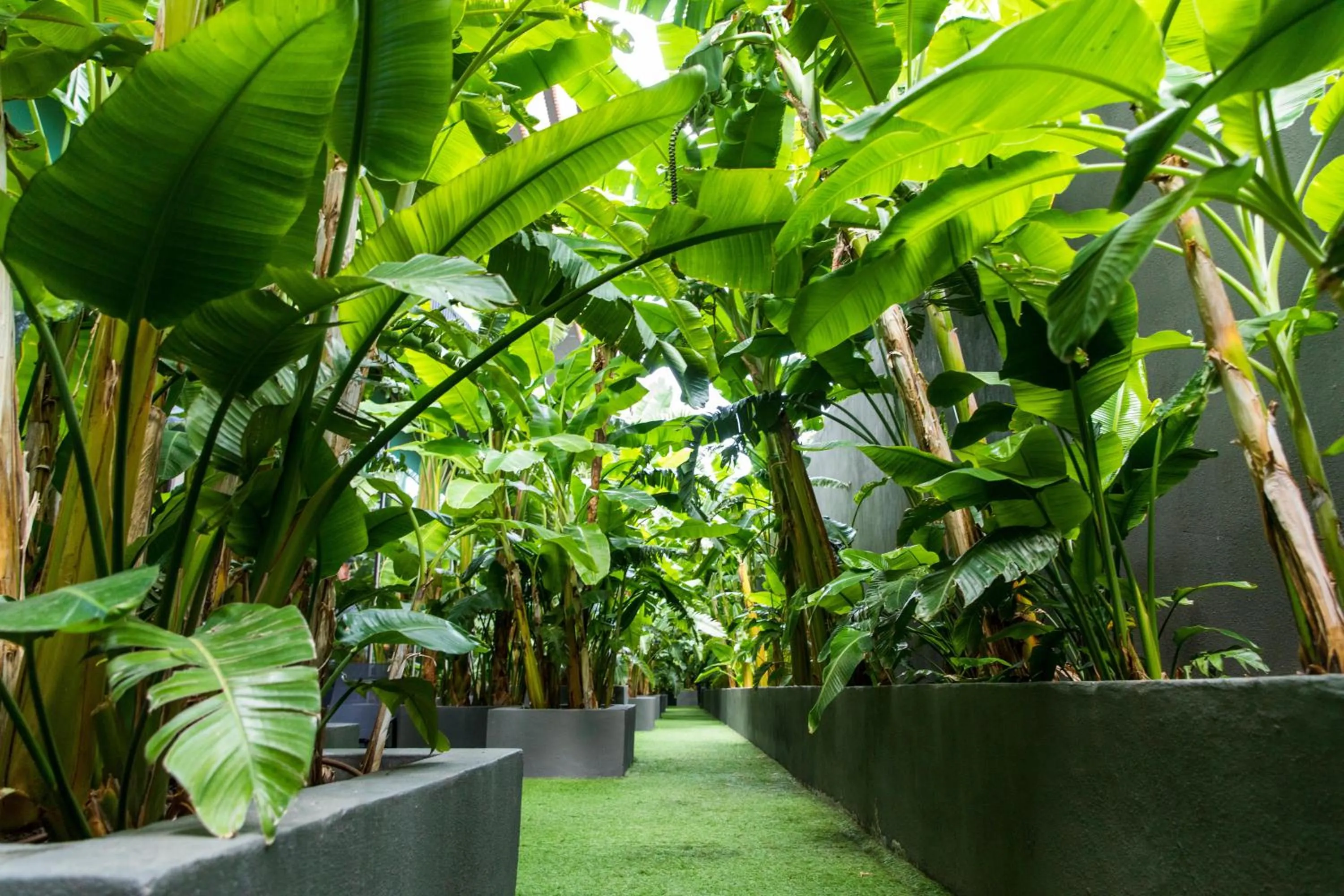 Garden in Maxx Royal Kemer Resort