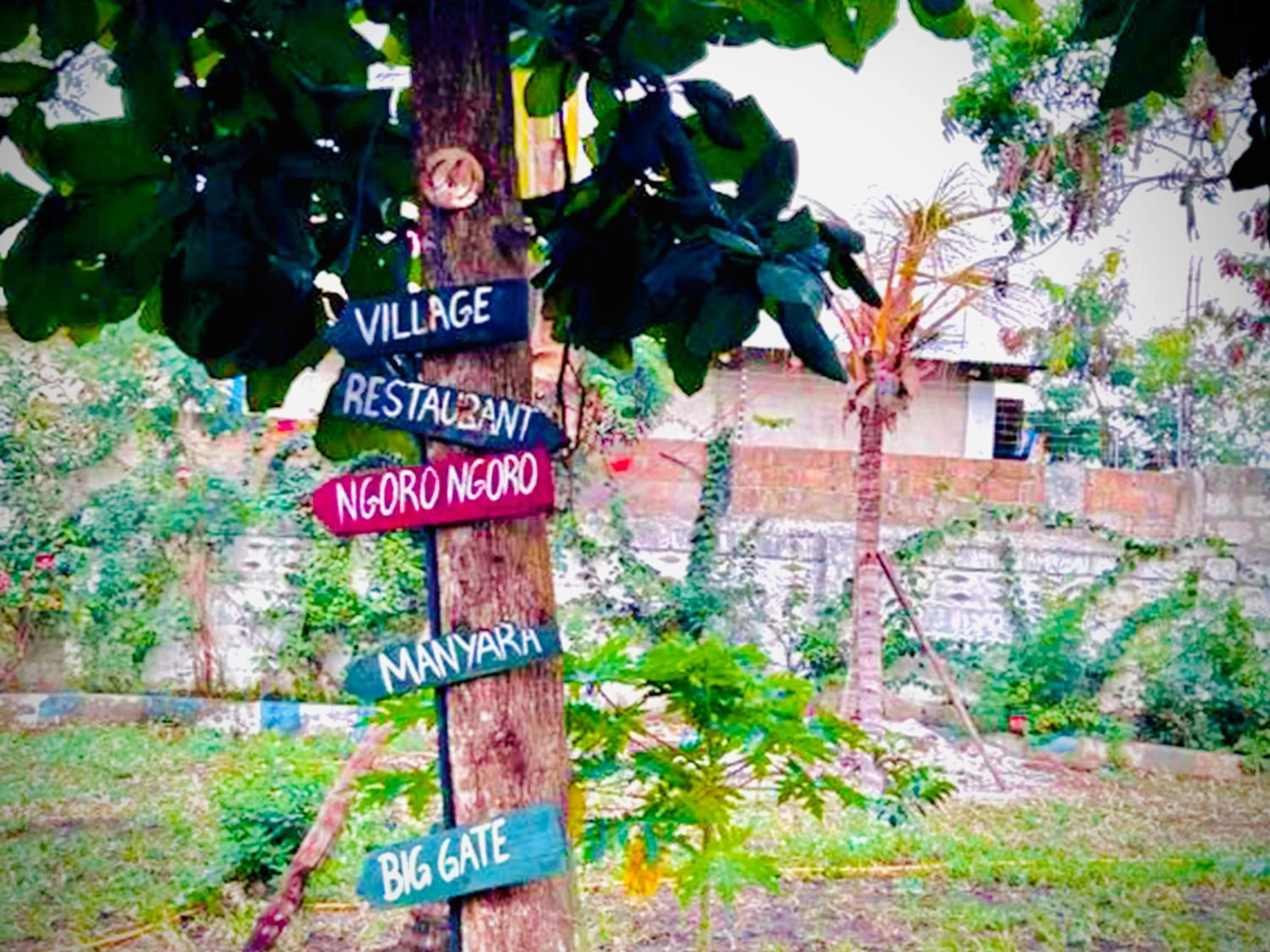 Property building in The Tropinest bungalow