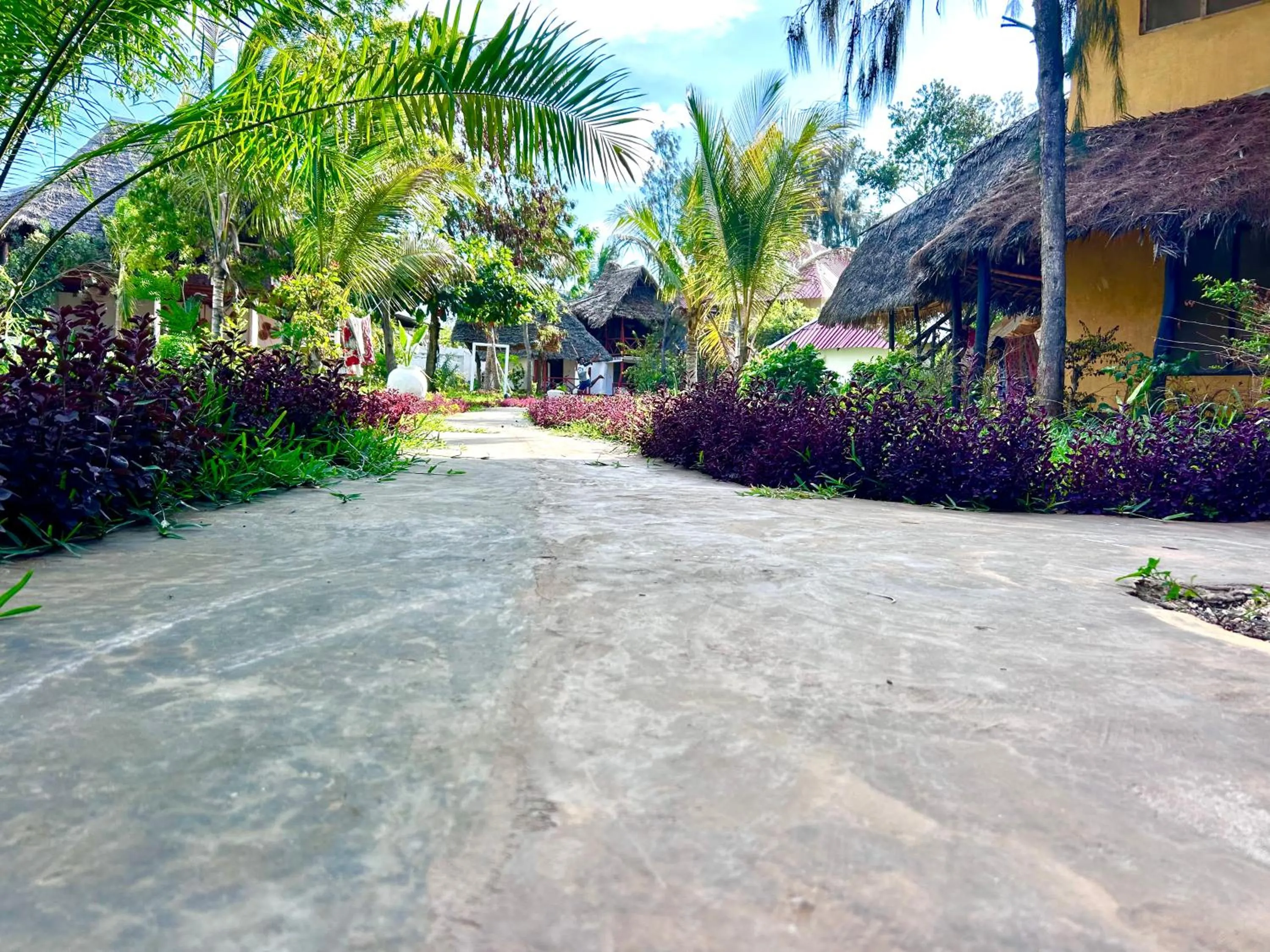 The Tropinest bungalow