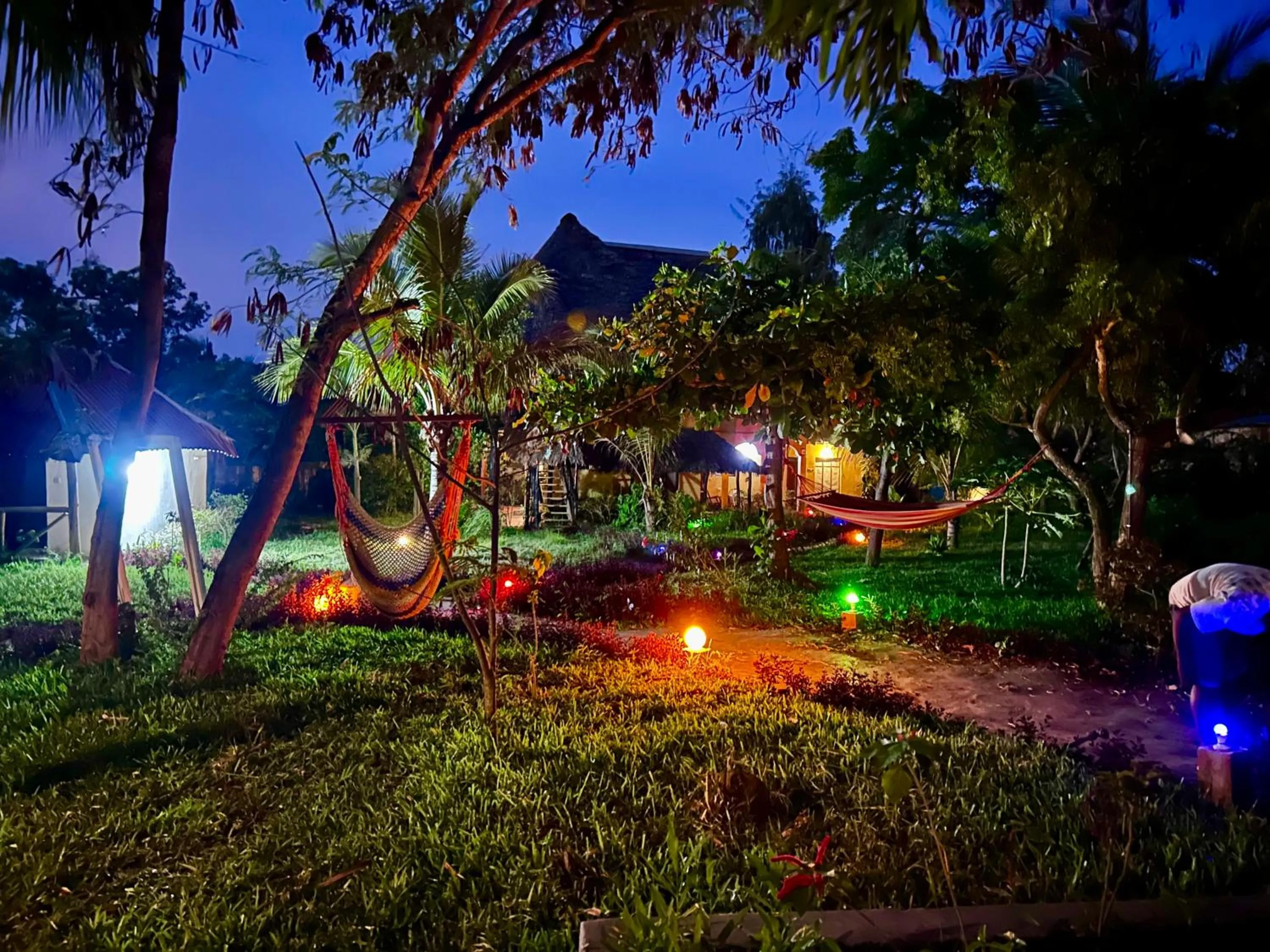 The Tropinest bungalow