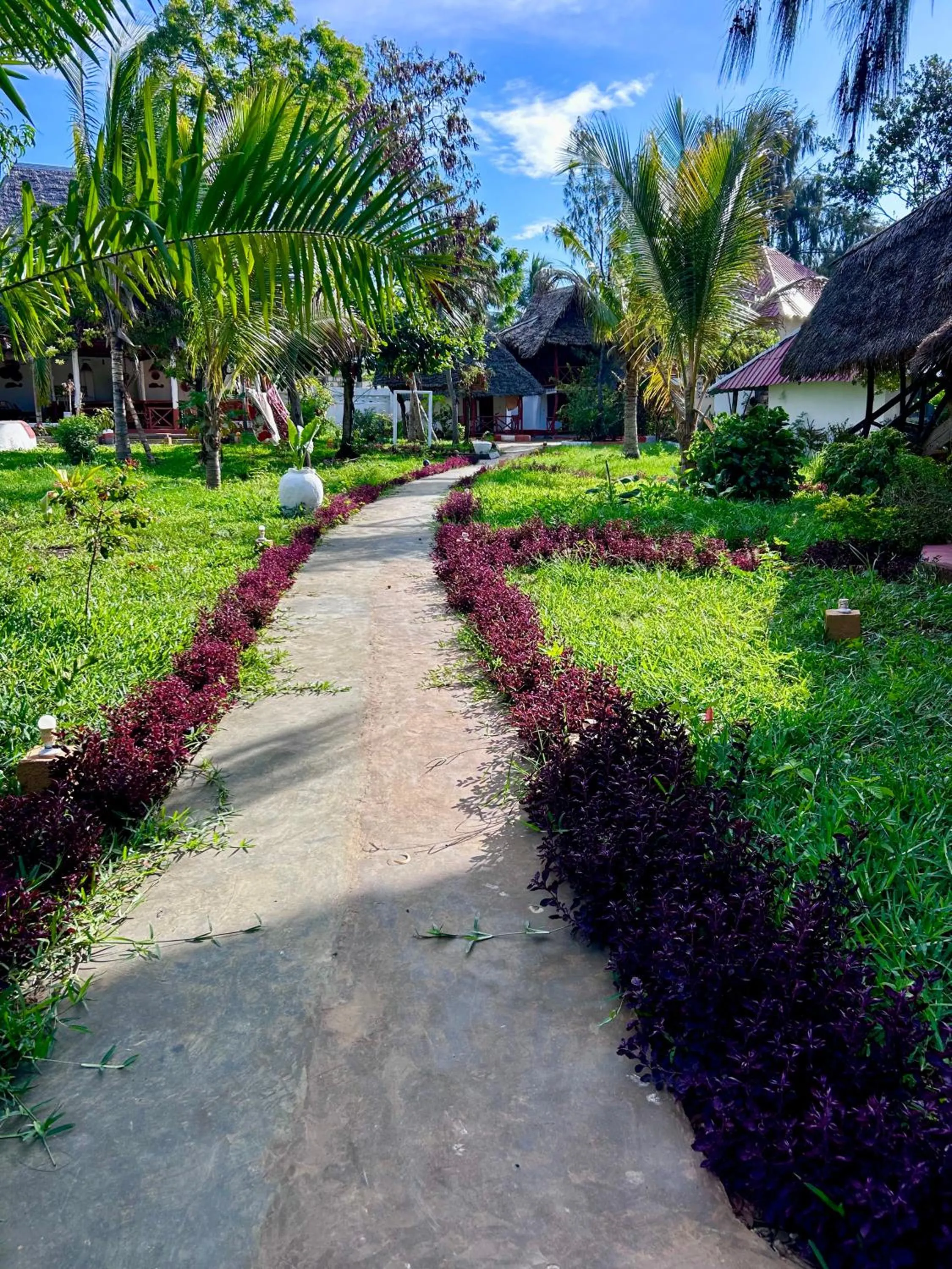 The Tropinest bungalow