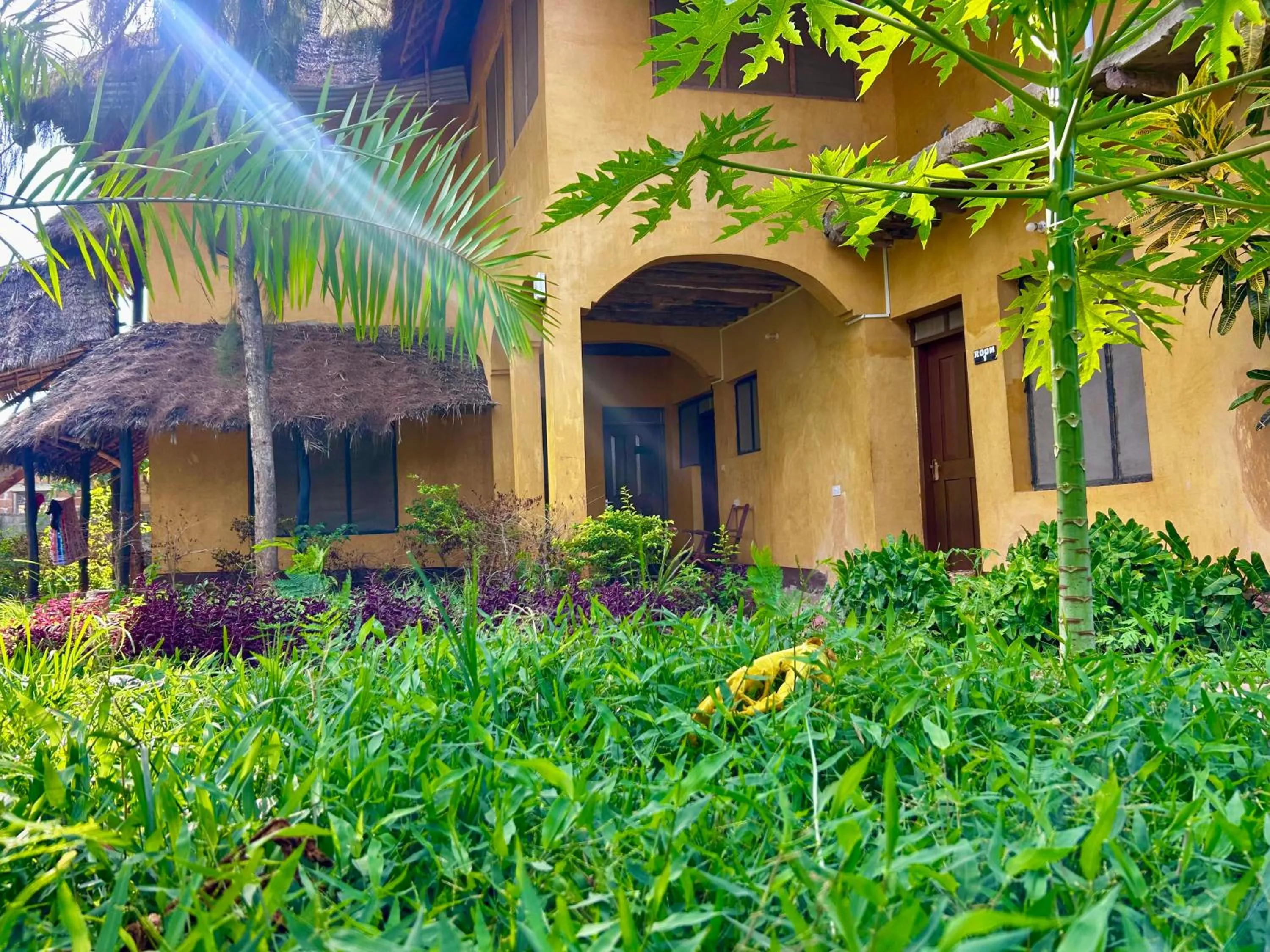 The Tropinest bungalow