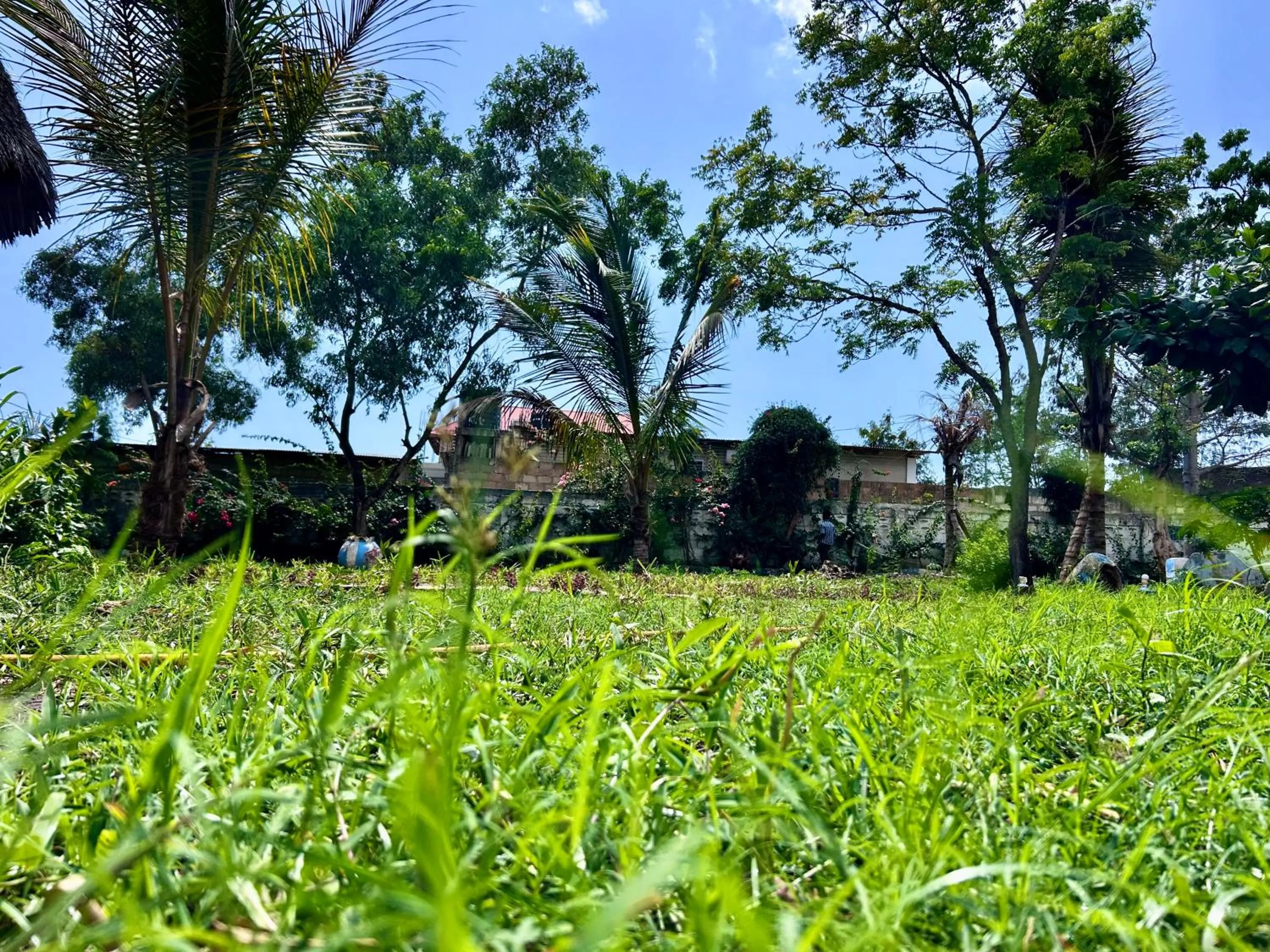 The Tropinest bungalow