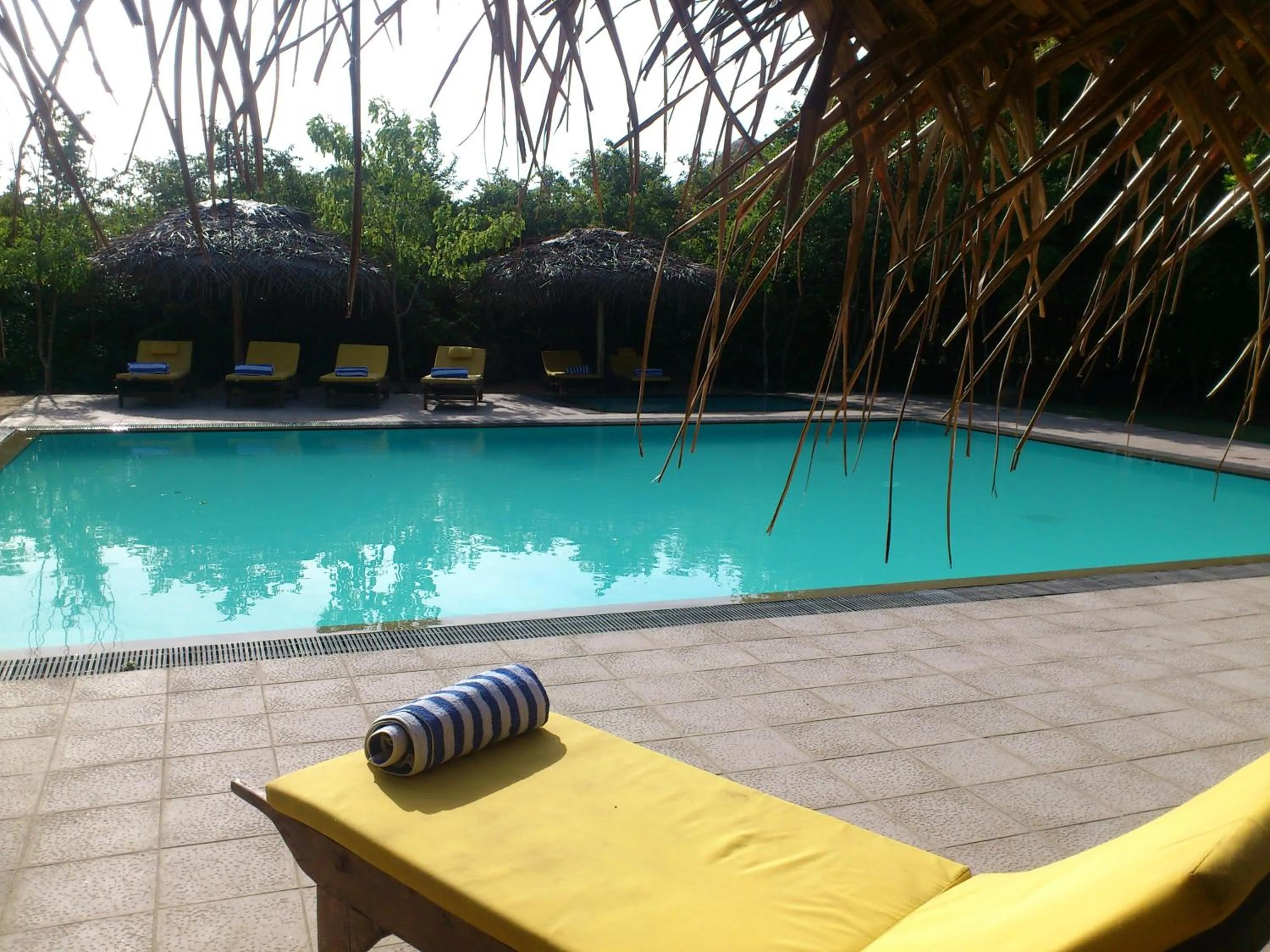 Swimming pool in Giman Free Beach Resort Pasikuda