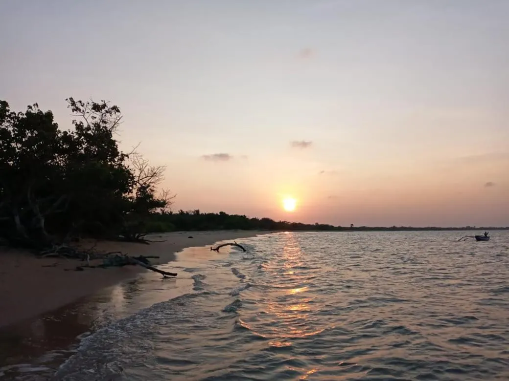 Beach in Giman Free Beach Resort Pasikuda