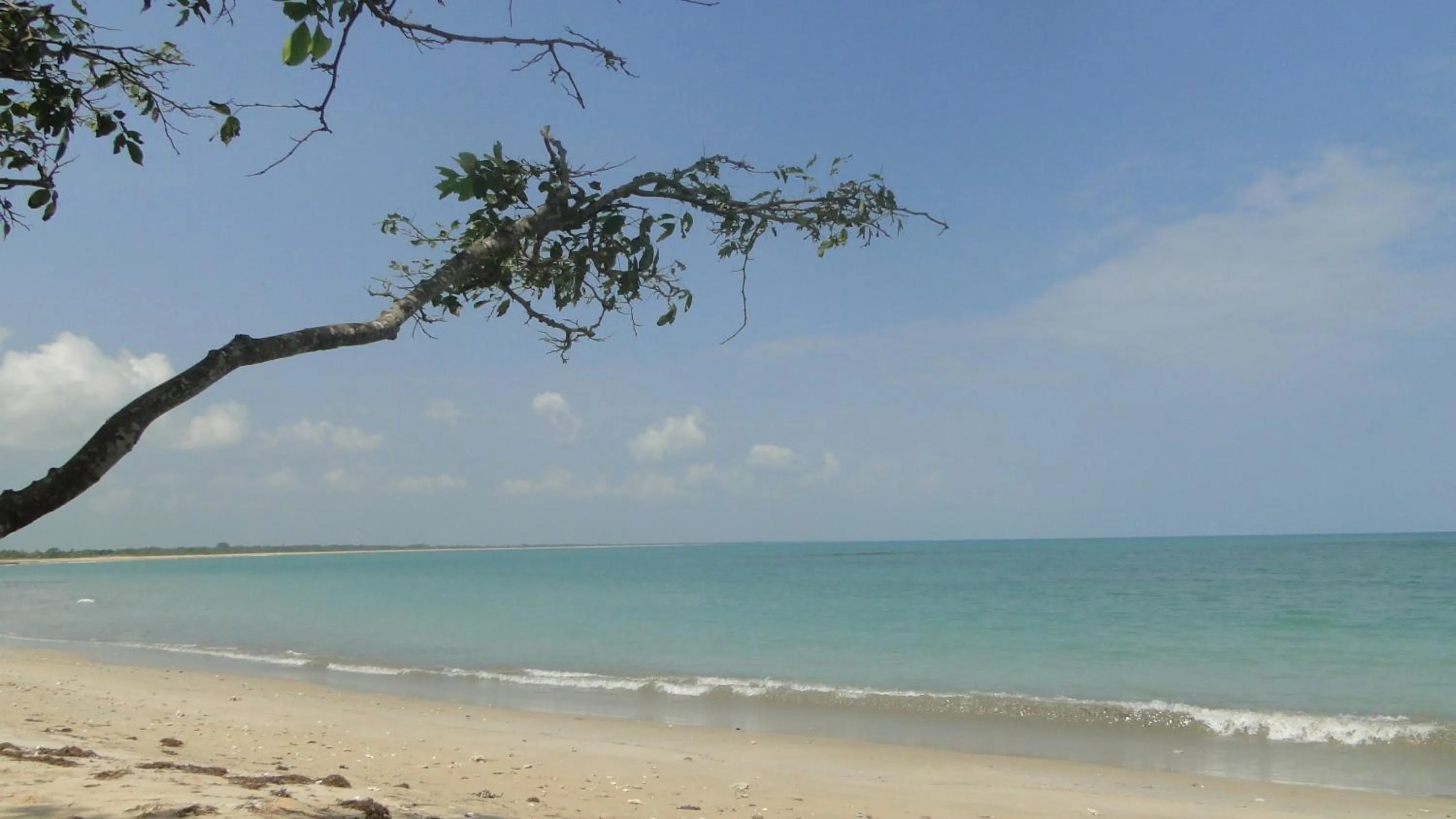 Beach in Giman Free Beach Resort Pasikuda