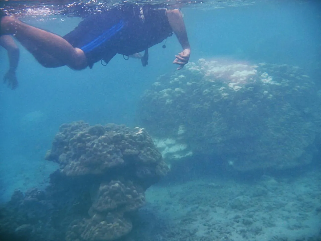 Giman Free Beach Resort Pasikuda