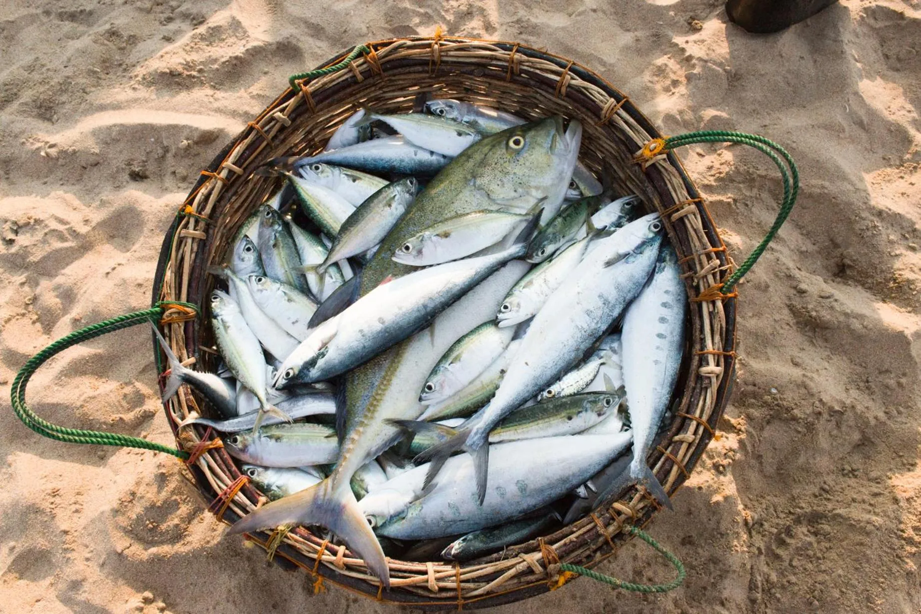 Giman Free Beach Resort Pasikuda