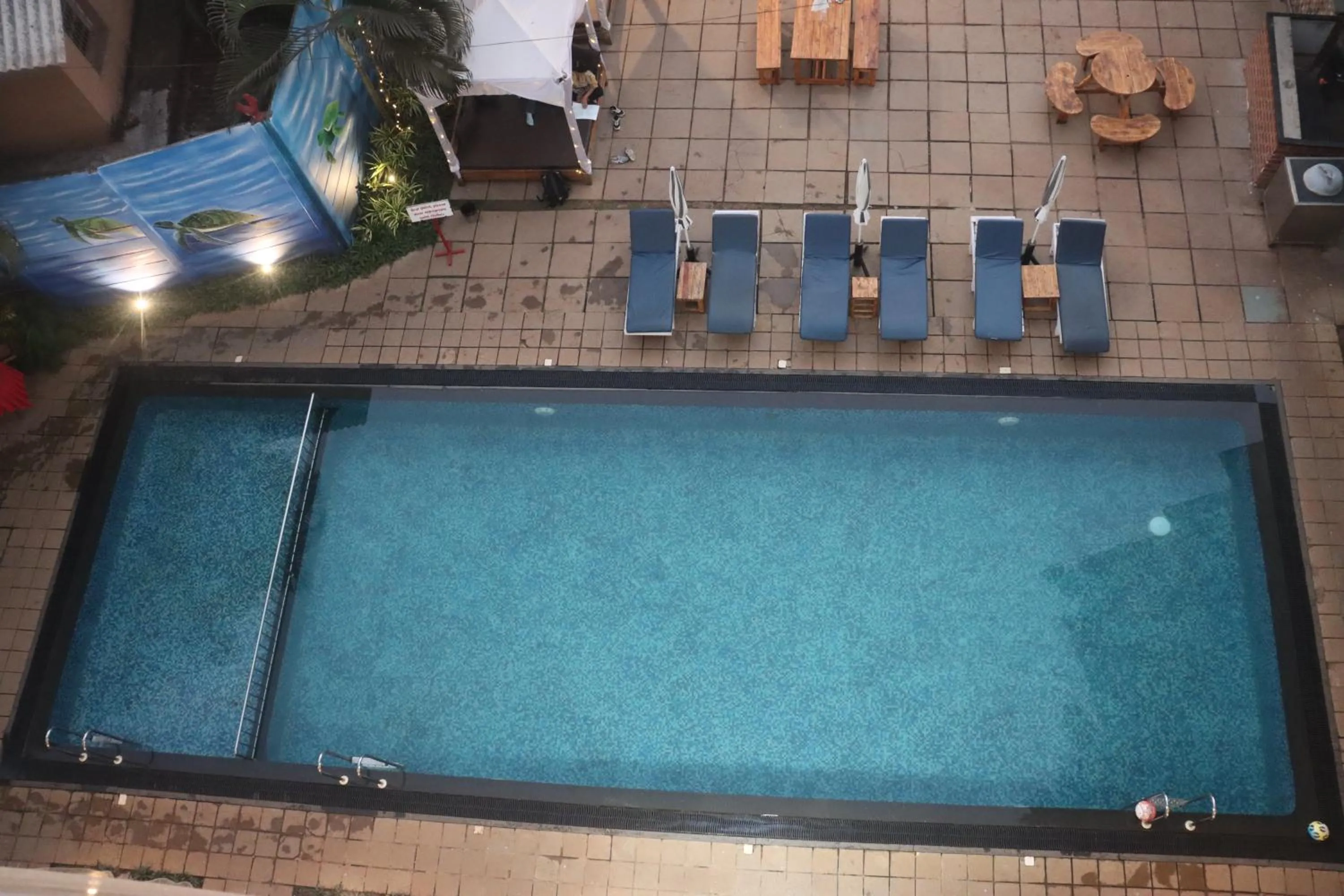 Pool view in Turtle Beach Resort - Morjim