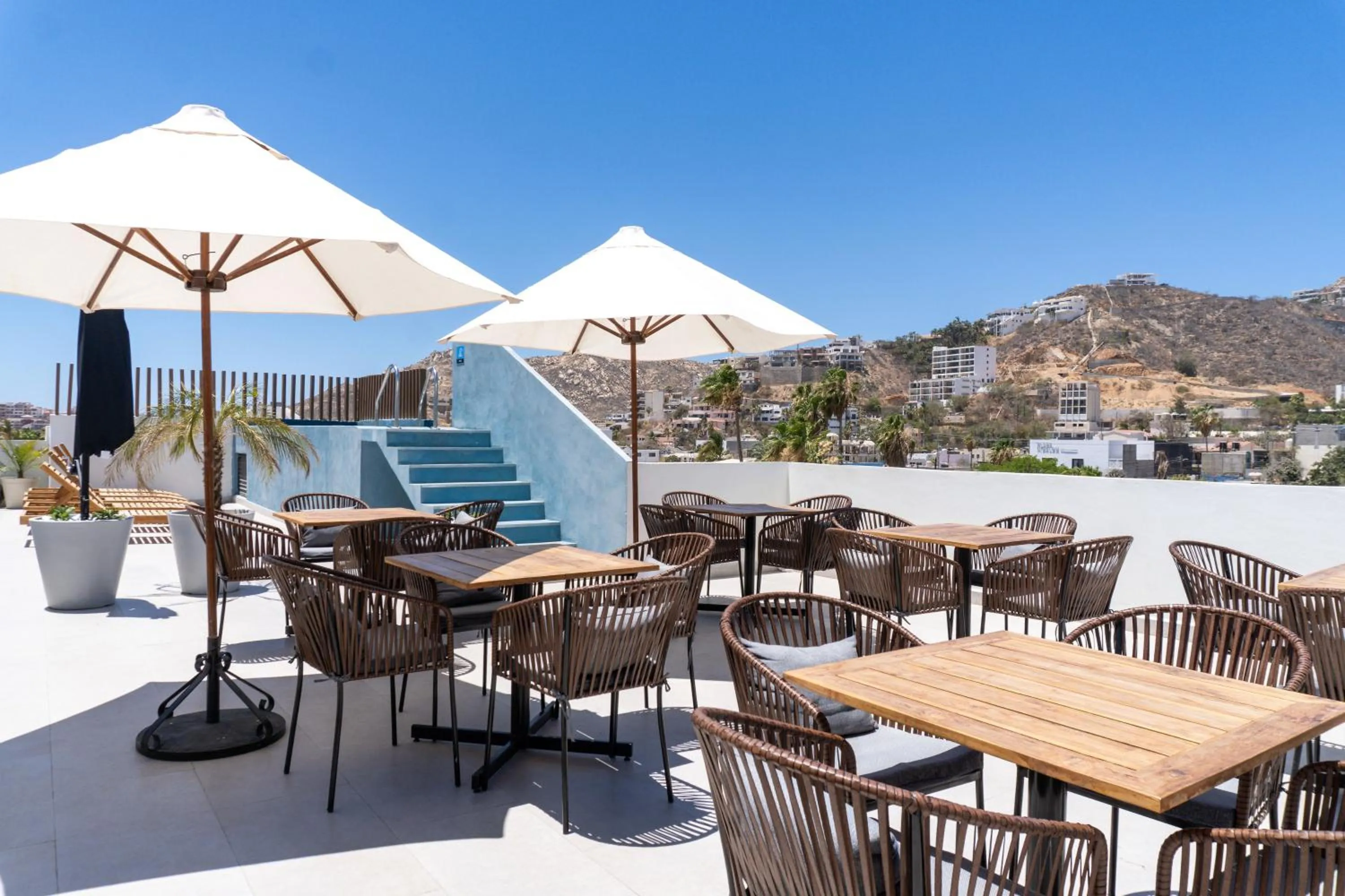 Restaurant/places to eat in Colmena Hotel Los Cabos Marina