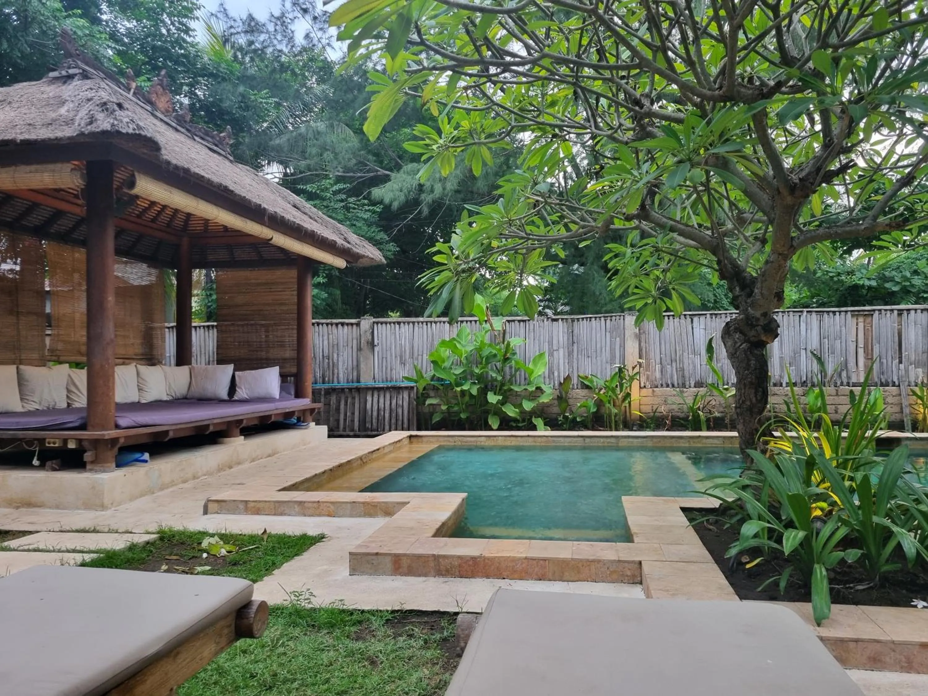 Pool view in Guava Garden