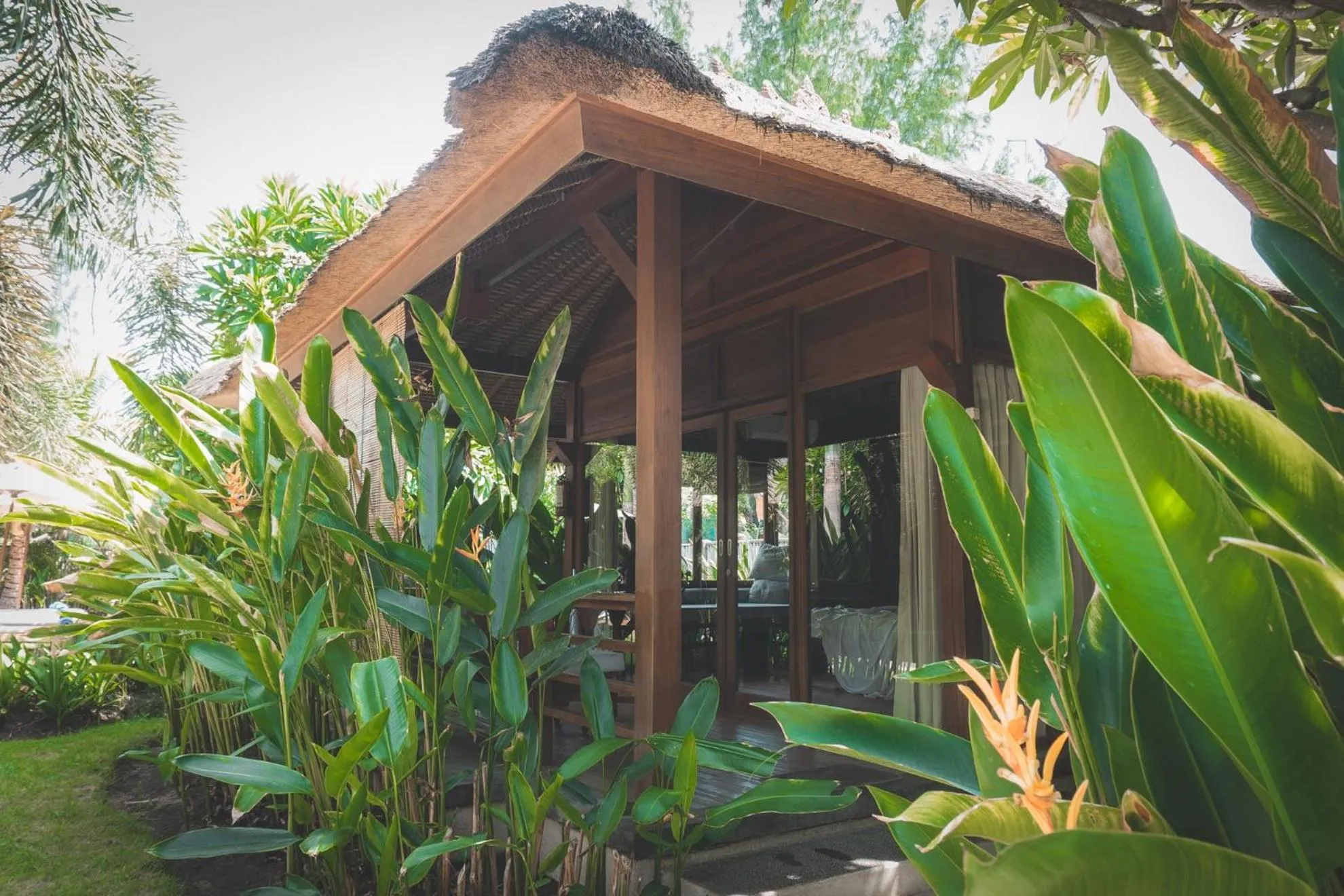 Garden in Guava Garden