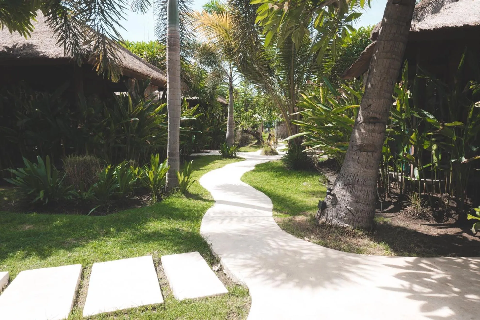 Garden in Guava Garden